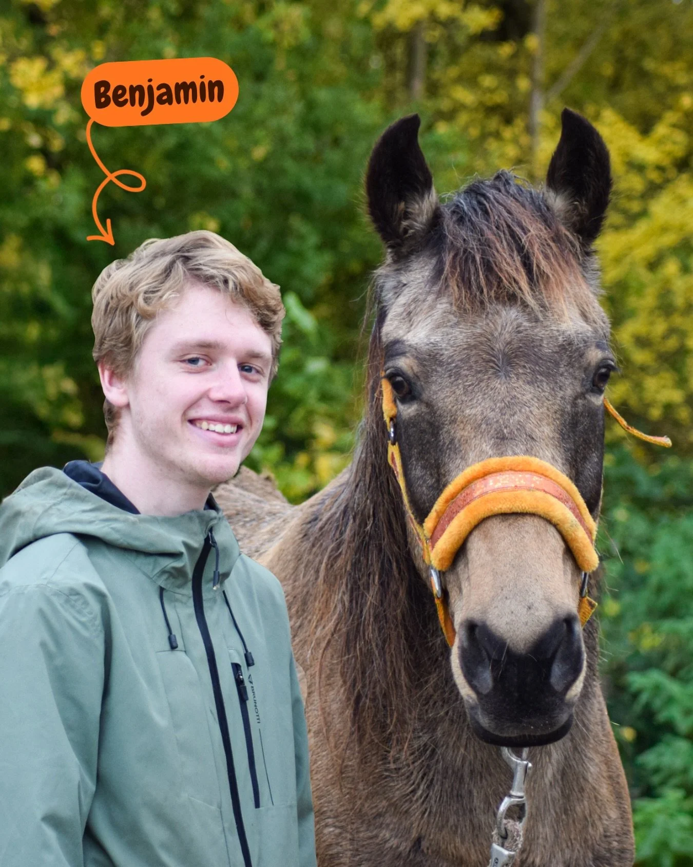 🙋&zwj;♂️Hoi, ik ben Benjamin!

Acht jaar geleden kwam ik bij Stal Ponypret werken als bijbaan. Nu ben ik dagelijks op stal te vinden. Ik verzorg onze paarden, onderhoud het terrein en begeleid de kinderfeestjes, ponydagen en evenementen. Ook geef ik