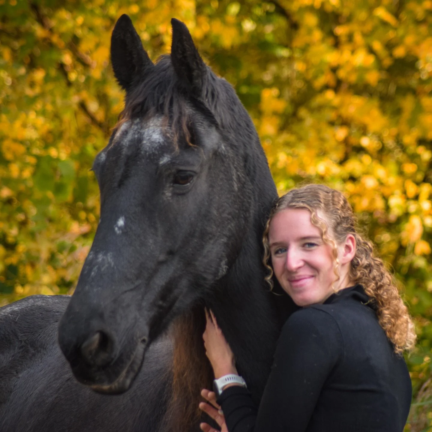 In m&rsquo;n vorige reel update ik jullie over Doutsen. 
Zij heeft natuurlijk de nodige hobbels gehad en we hebben haar management flink veranderd. 
Ze knapt echt op, steeds sneller! Nu nog wat meer massa en ze straalt!

🌱 silicium &amp; kruidnagel 