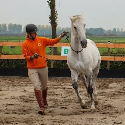 Tijdens een van onze shows afgelopen zomer. Timon doet altijd zo goed zijn best als hij publiek heeft. 
Vreemd terrein, allemaal mensen, muziek, wapperende vlaggetjes, rennende kinderen, maar we konden zo op neckrope wegrijden.
Dat is toch goud 💛

B