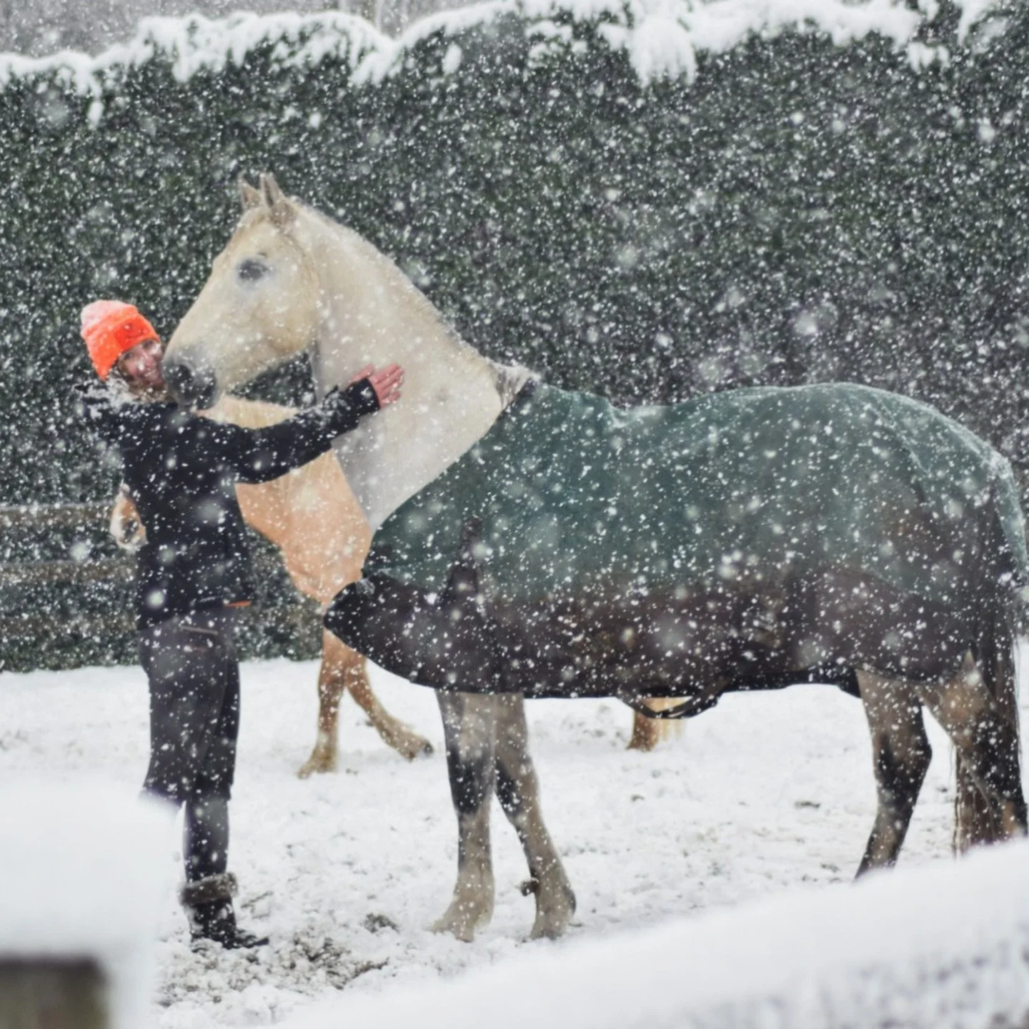 Sneeuwpret ❄️☃️

De paardjes zijn zo extra vrolijk in de sneeuw. Misschien zo nog een stukje slee&euml;n met Mickey 😍
Maar eerst even opwarmen van m&rsquo;n ijsmijlpoging in 1.9&rsquo;C vanmorgen.