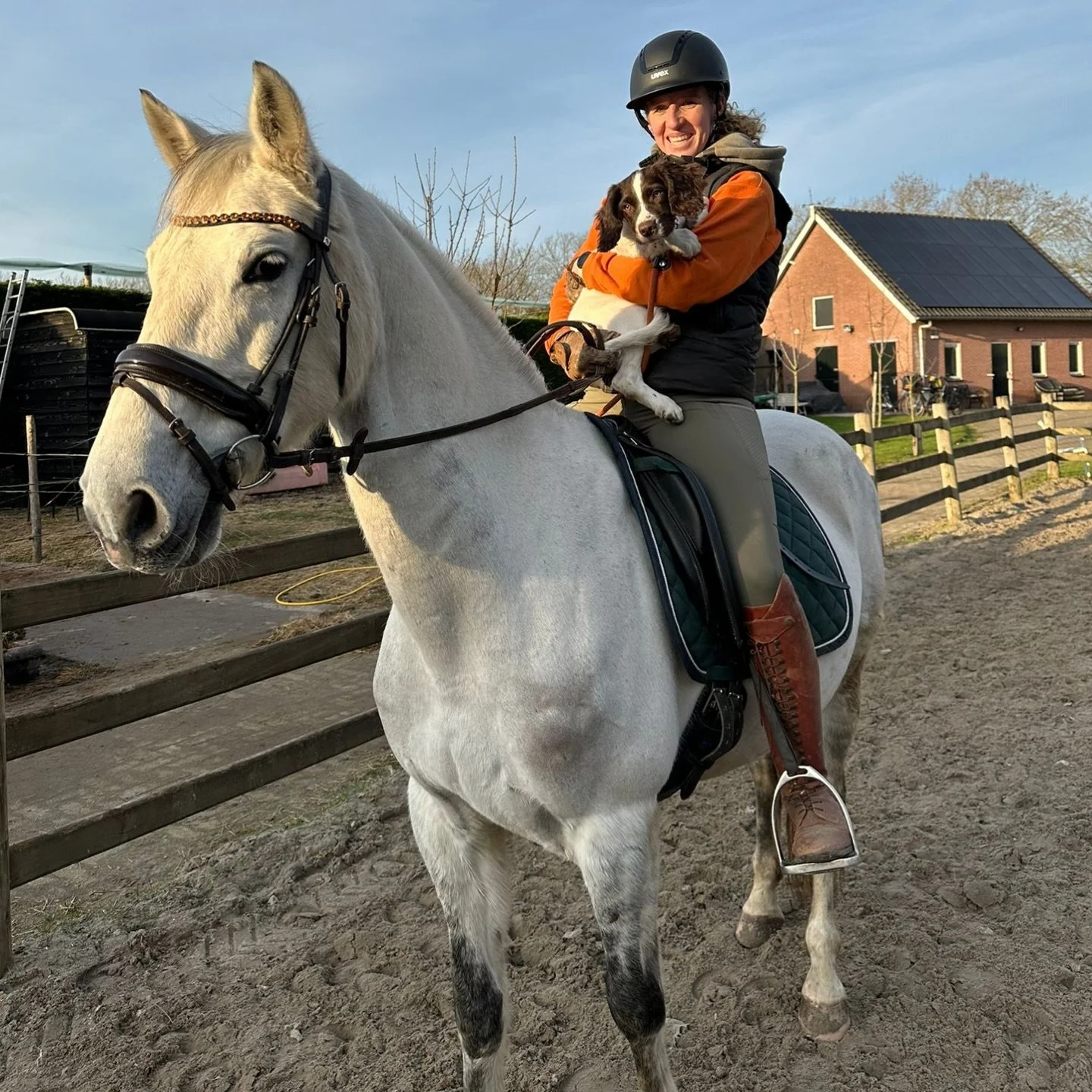 Goofy en Timon 🥹
Voor het eerst gereden met Timon dit jaar.. de bak was de eerste weken bevroren en daarna kwam de @rijniceswim waardoor ik echt geen tijd had.

We moeten weer even inkomen&hellip; 🙃

Vanmorgen was ik op radio 538, hebben jullie gel