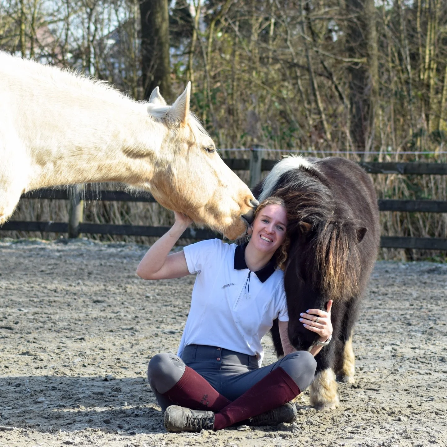 Het zonnetje doet ons zo goed ☀️
Ik kan echt uren kijken naar de paardjes zie heerlijk slapen in de zon 🥰
Maar vandaag stonden er andere dingen op de planning: lesgeven, les gekregen op Timon (wat mega mega goed ging). Met Goofy tussen de paarden oe