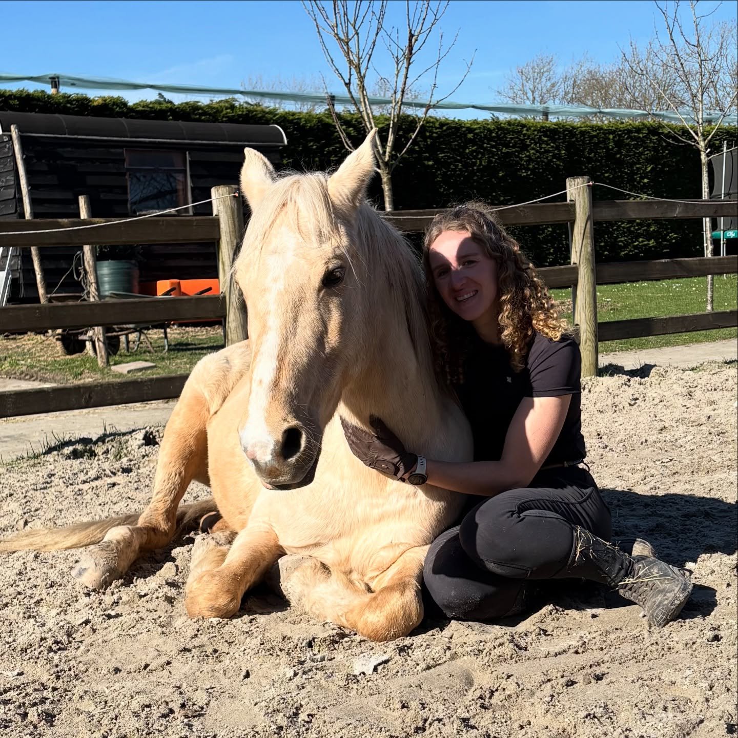 ☀️🤗

Wat doen jullie met je paardjes nu we EINDELIJK kunnen genieten van de zon? 🥰

Wij zijn heel veel (nog meer dan normaal 🤪) met de paardjes bezig. Met Timon gaat het rijden echt heel goed. Mo pakt zijn werk aan de longe ook goed op, hij mag wa