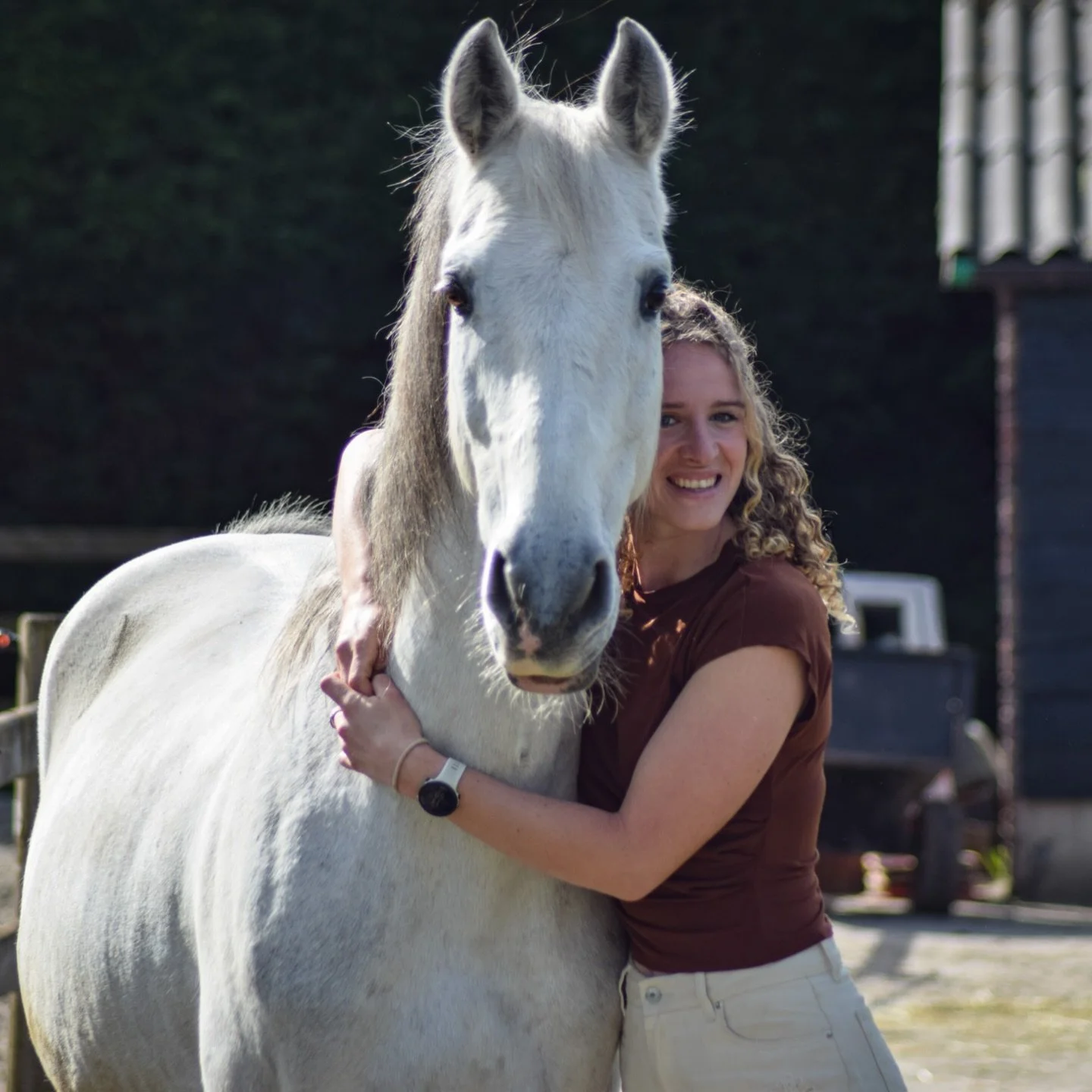 Vandaag is een speciale dag want precies 3 jaar geleden kwam Timon bij ons op stal. Nog iedere dag dankbaar voor hem. Hij is echt in alle opzichten mijn droompaard en ik leer ZO veel van hem 🤎