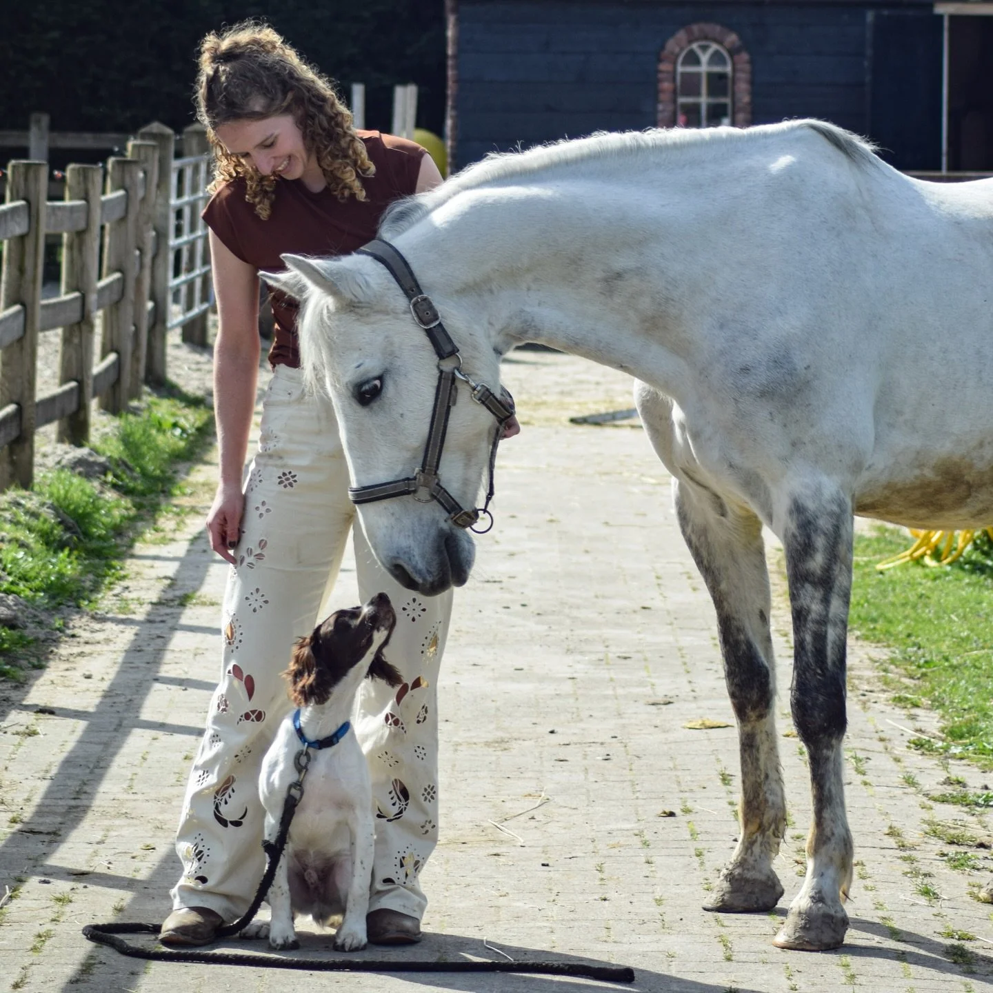 Timon is the sweetest horse ever 🥹
Zijn blik naar Goofy is precies zoals hij is 🥰🫶

Fijne zondag allemaal 😊
