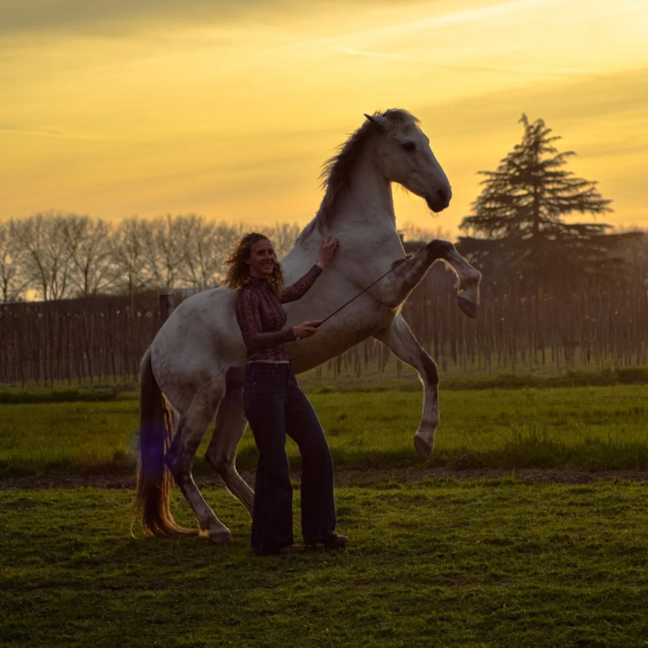 Gifted 🥰😍

Dit soort momenten op de wei, zonsondergang, wat spelen met Timon, ik kan daar zo intens van genieten ❤️