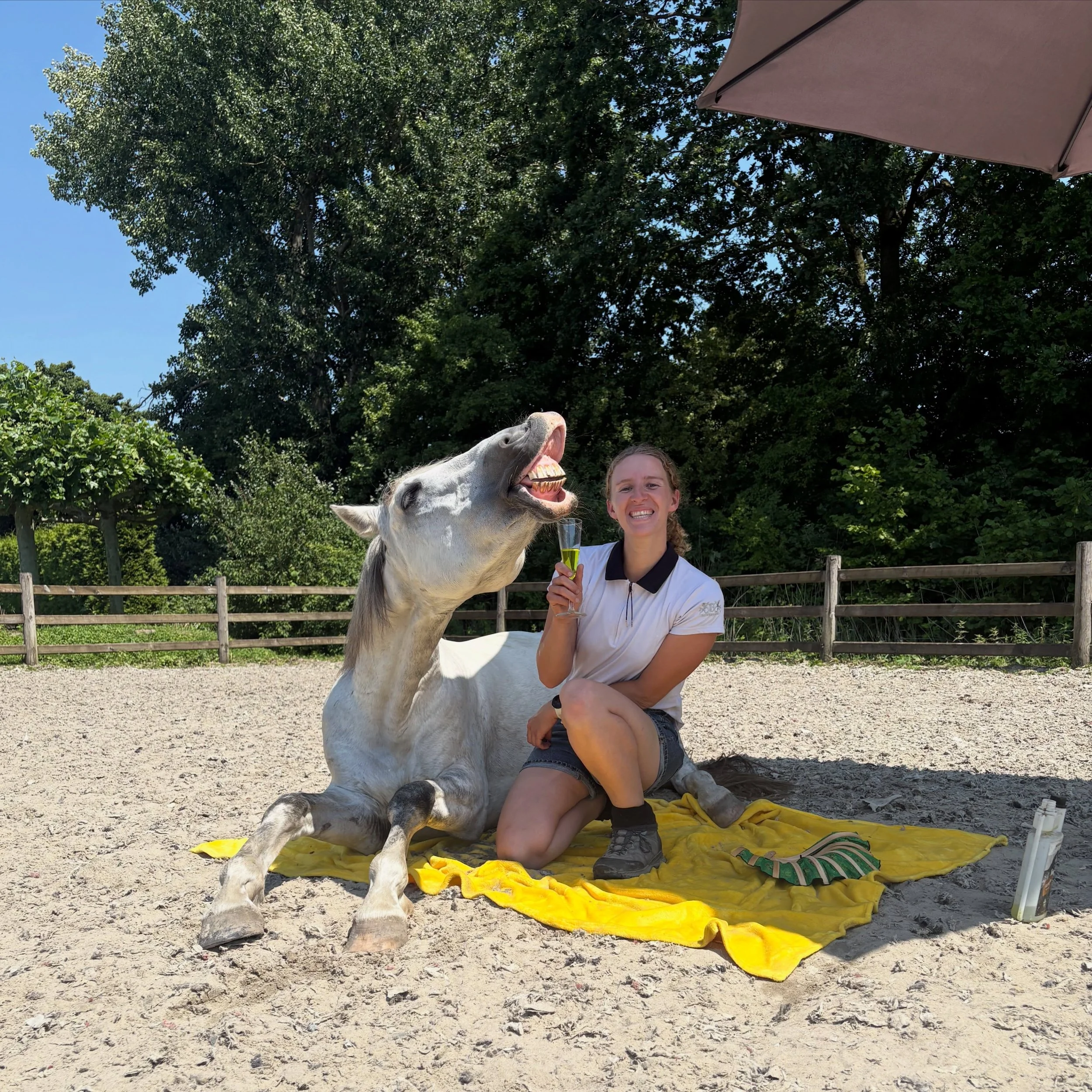 Casually chilling with my horse 🦄

🍹: Elektrolyten van @heltiehorse 
+ uiteraard hebben we de HELTIE snacks gebruikt toen Timon op z&rsquo;n HELTIE kleedje ging liggen 🤩