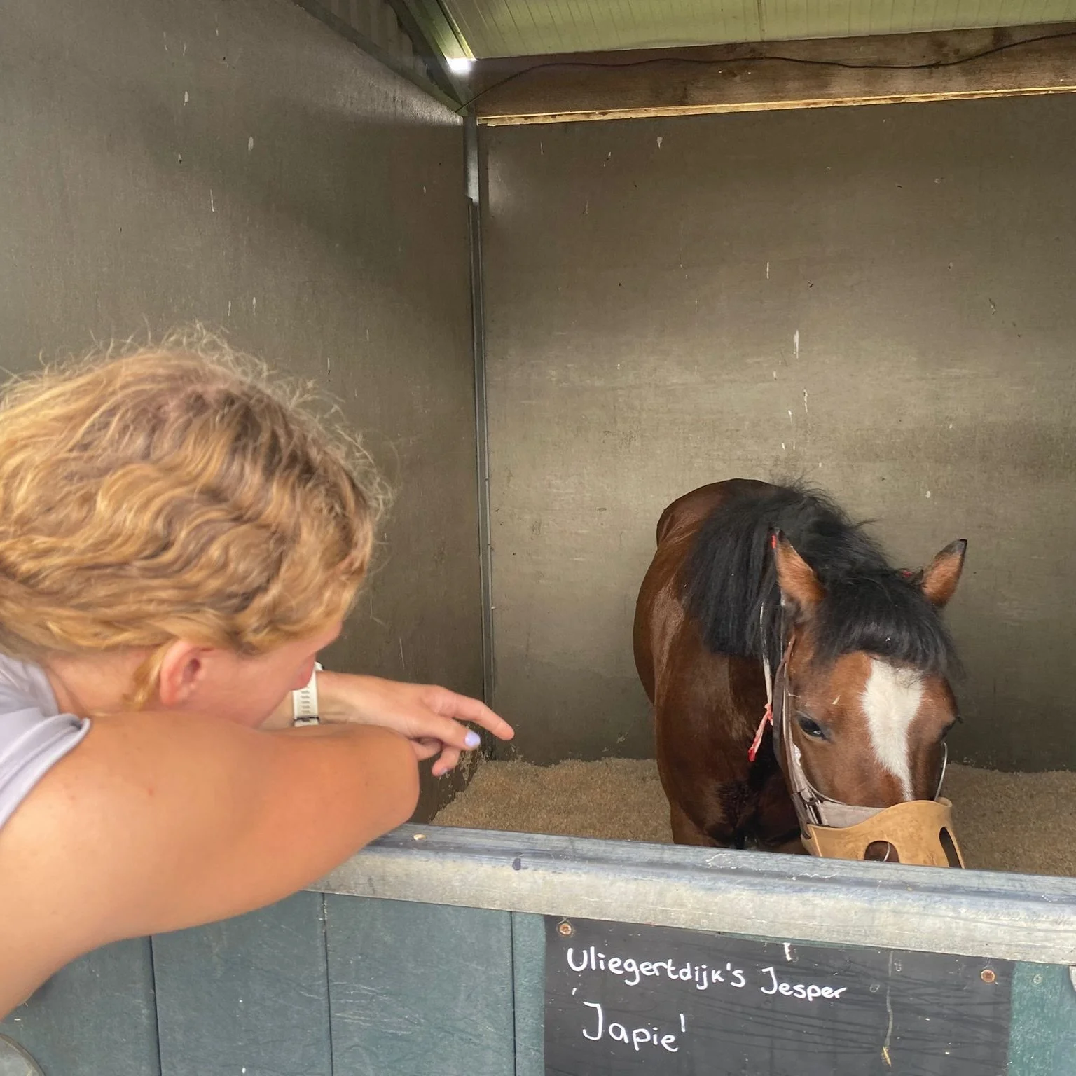 ⚠️ droes gesignaleerd! ⚠️

Wij hebben helaas een pony met droes. Het betreft onze nieuwe pony welke in quarantaine staat op de kliniek.

Hoewel hij nog niet met al onze paarden in direct contact is geweest houden we hem extra goed in de gaten.
Onze s