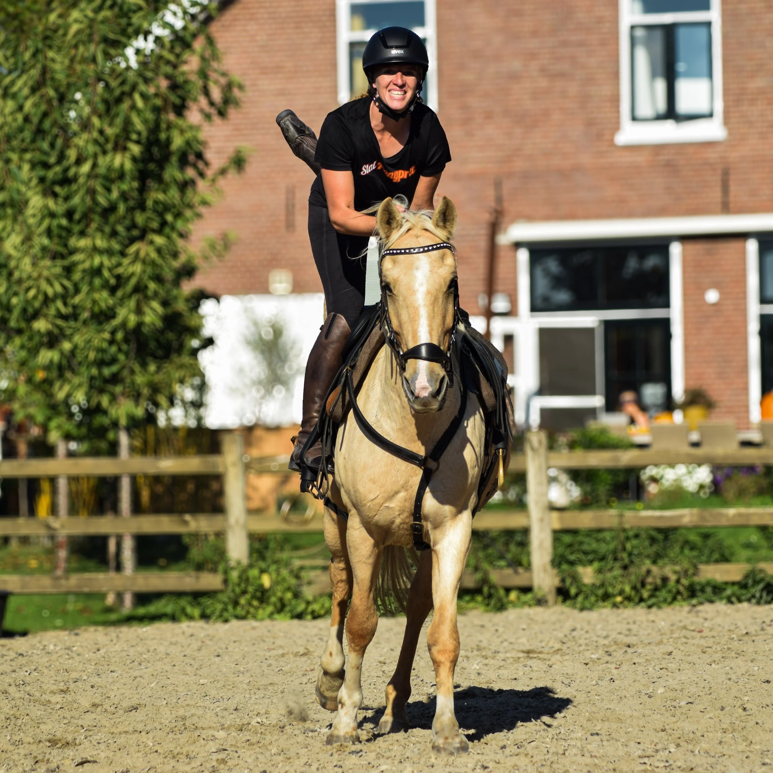 Show must go on 🔥

Wat kiekjes van onze demo gemaakt door @de.teugels.kwijt 

We hadden vandaag de ponyverwenmiddag, ter ere van dierendag. Genieten in het zonnetje ☀️ samen met 15 kids, ons team en de paardjes natuurlijk 🐴

De pony&rsquo;s zijn he
