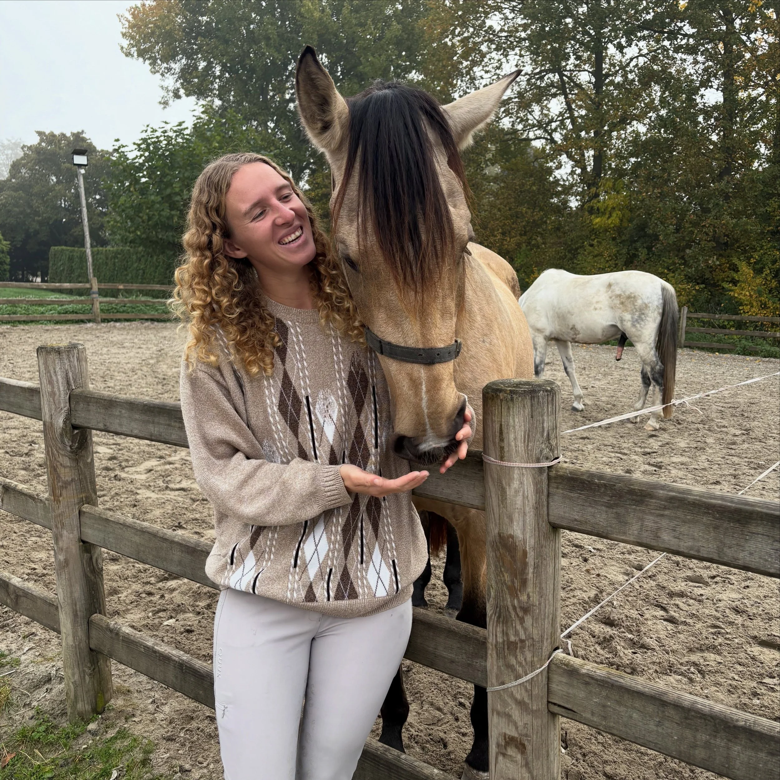 Photo dump 🥰

Benjamin &amp; Hera 🥰

Timon lijkt zo klein naast haar!

Onderweg naar huis.. een lange rit!

Pippi en Karel voor het eerst samen!

De kersttrui in de bergen!

Goofy in de bergen!

Karel voor het eerst op het blok

Karel voor het eers