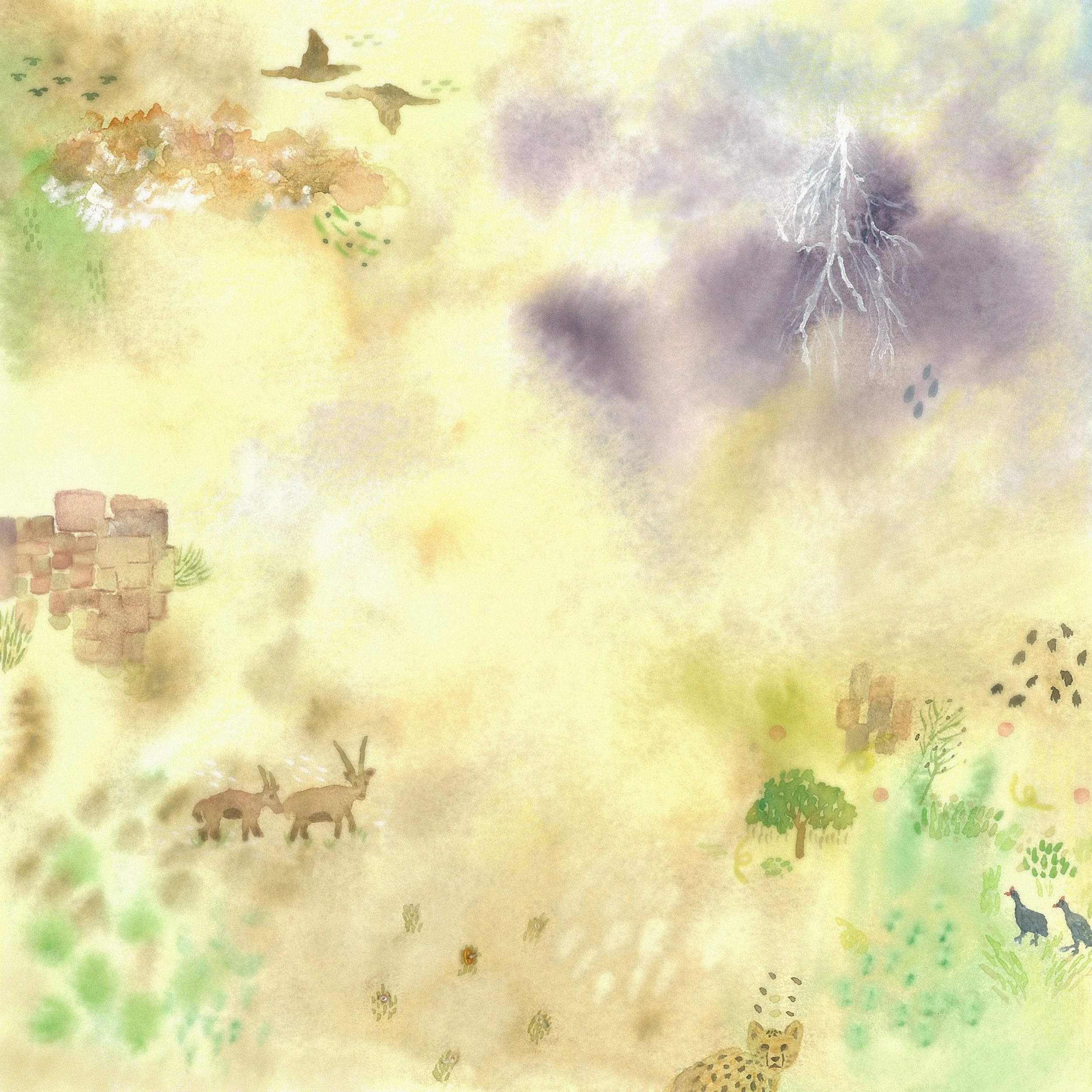 「Desert」,  2025.04