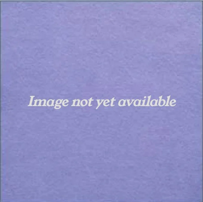 Placeholder image stating image not yet available