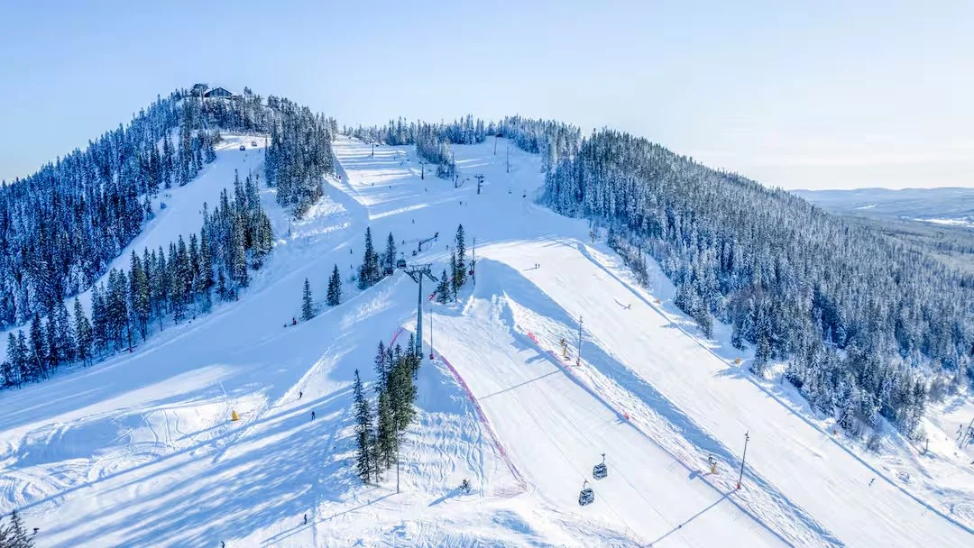 Skitræningsløbsski på sneklædt bjerg med skov og skilifte