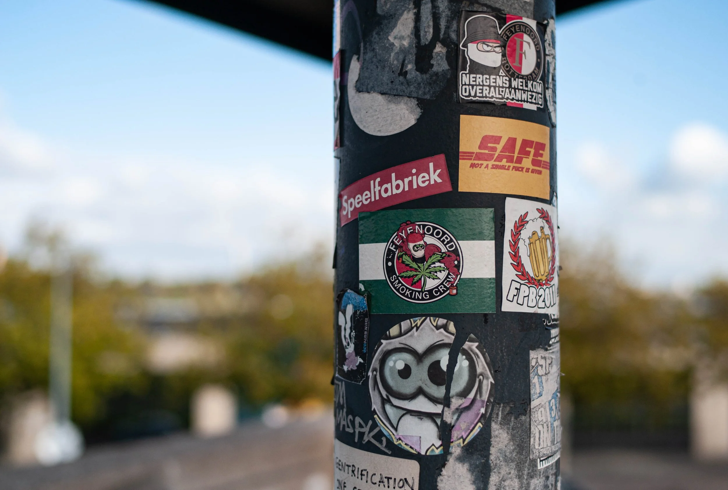 L1000305.jpg