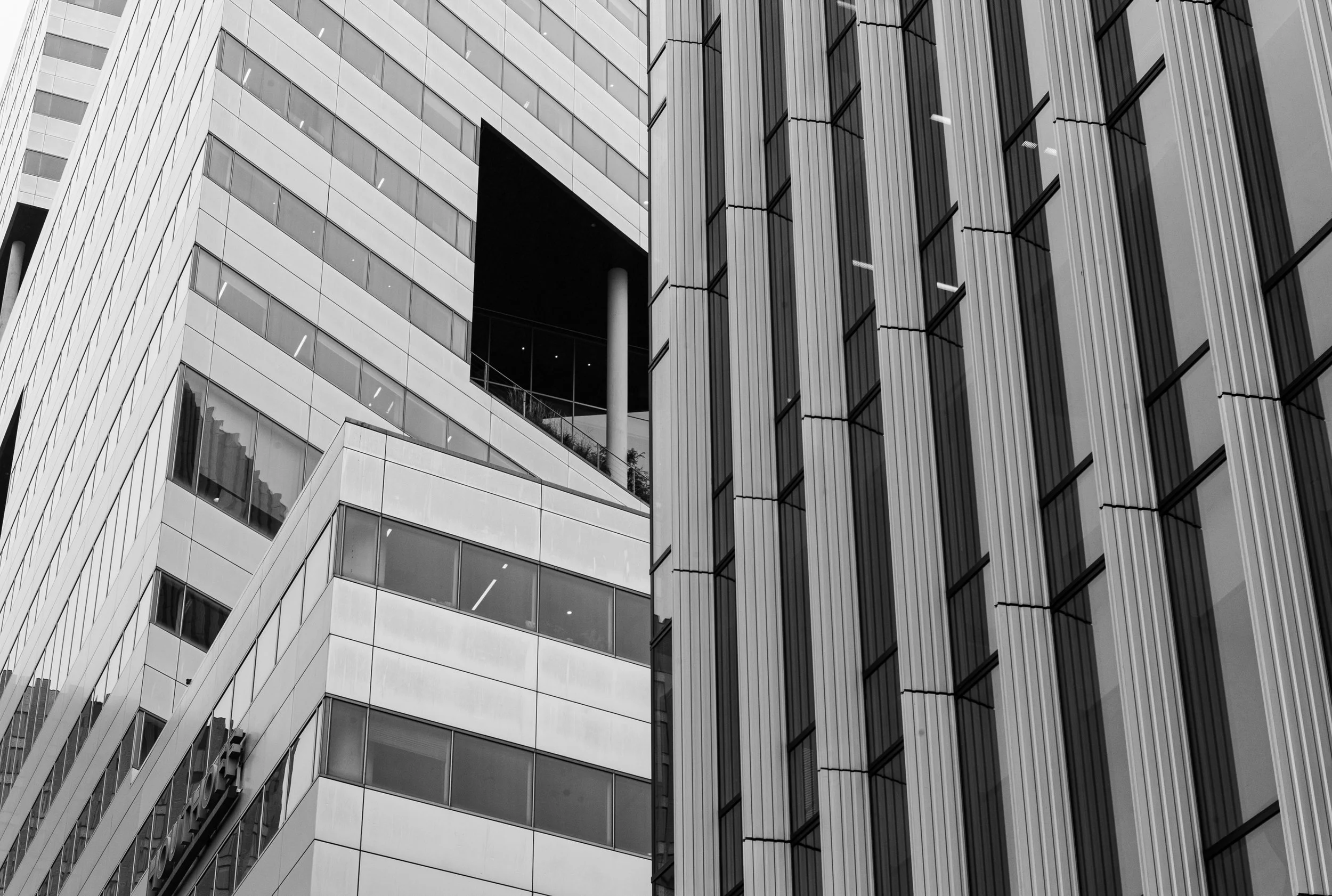 L1021786.jpg