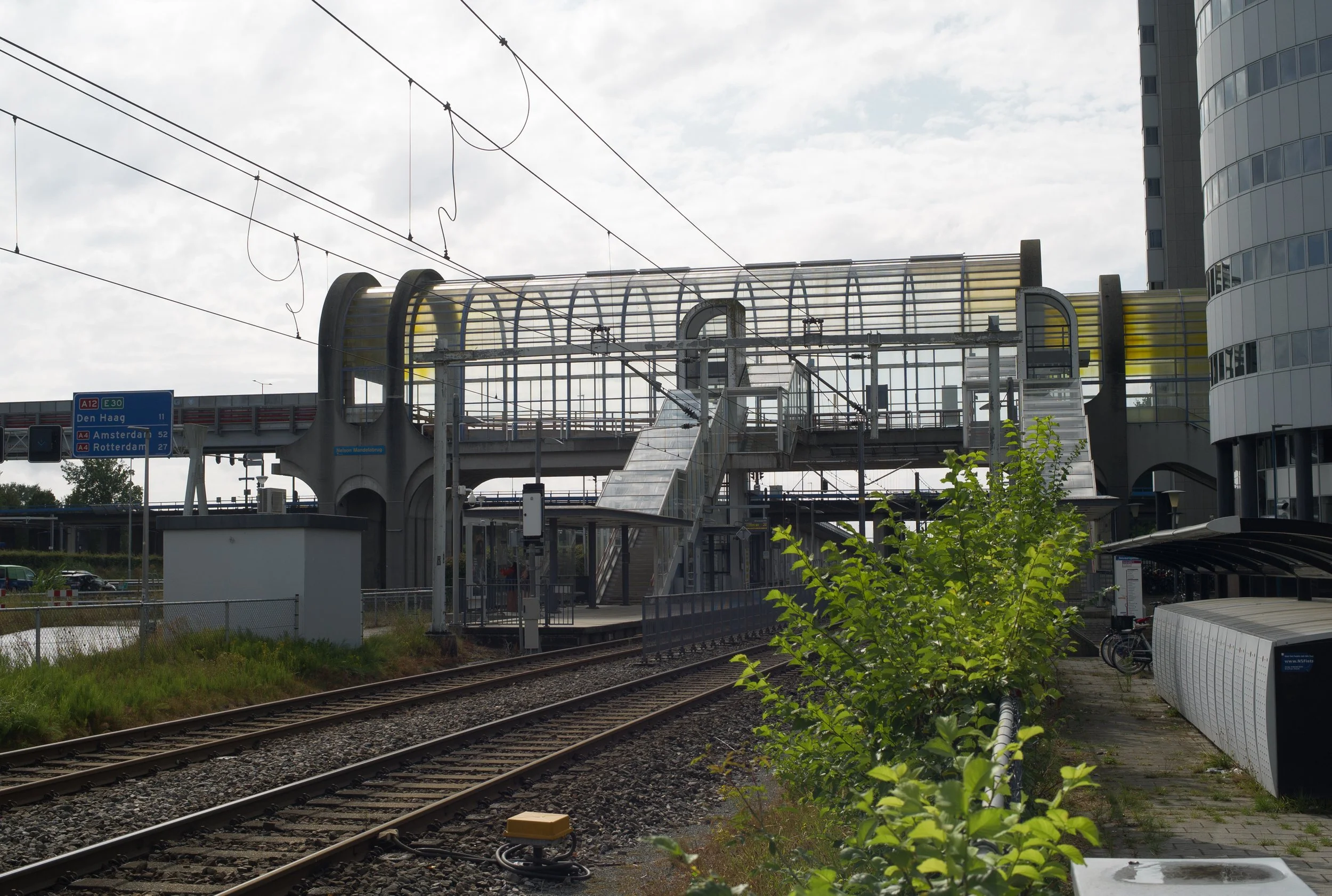 L1020627.jpg