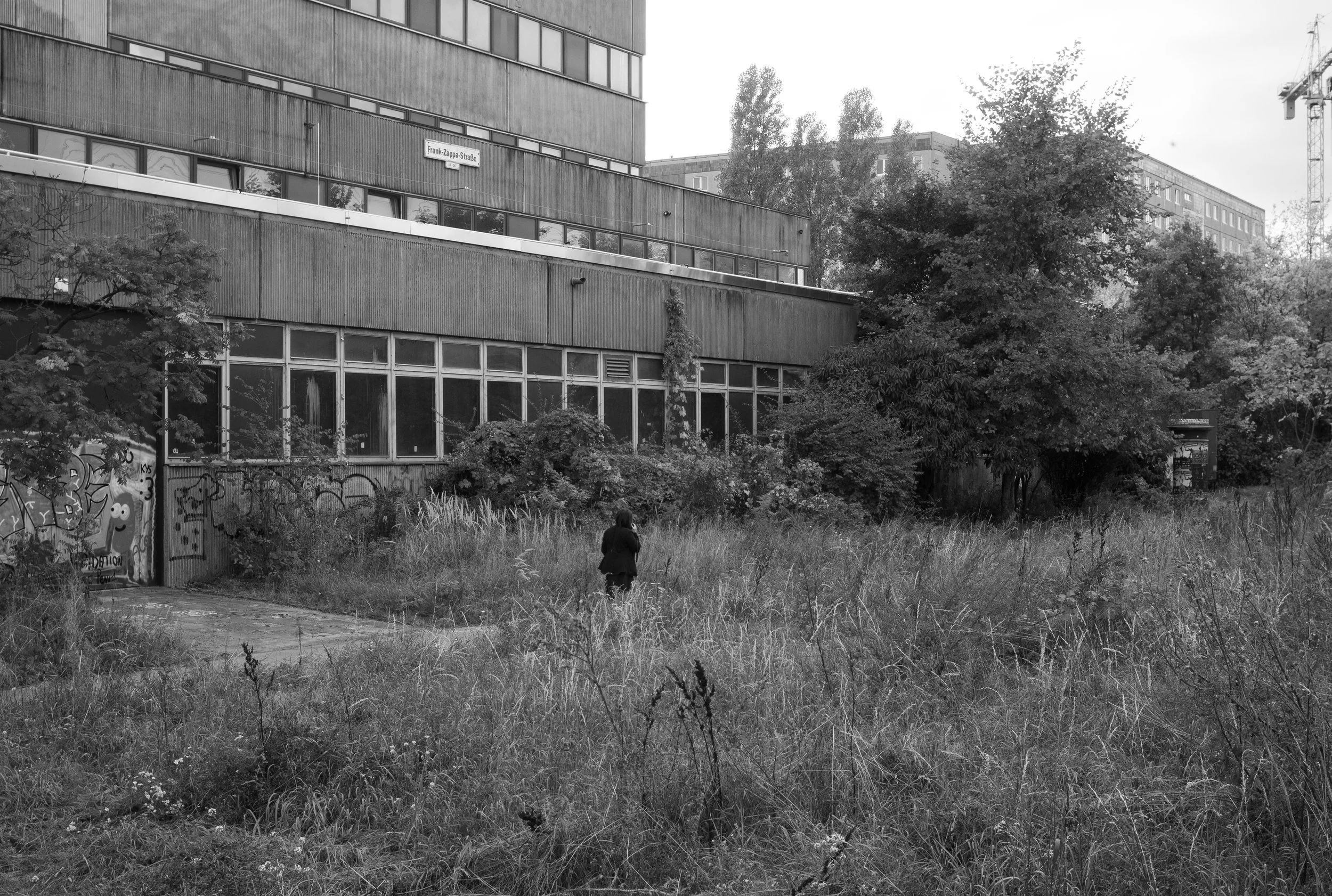 L1022546.jpg