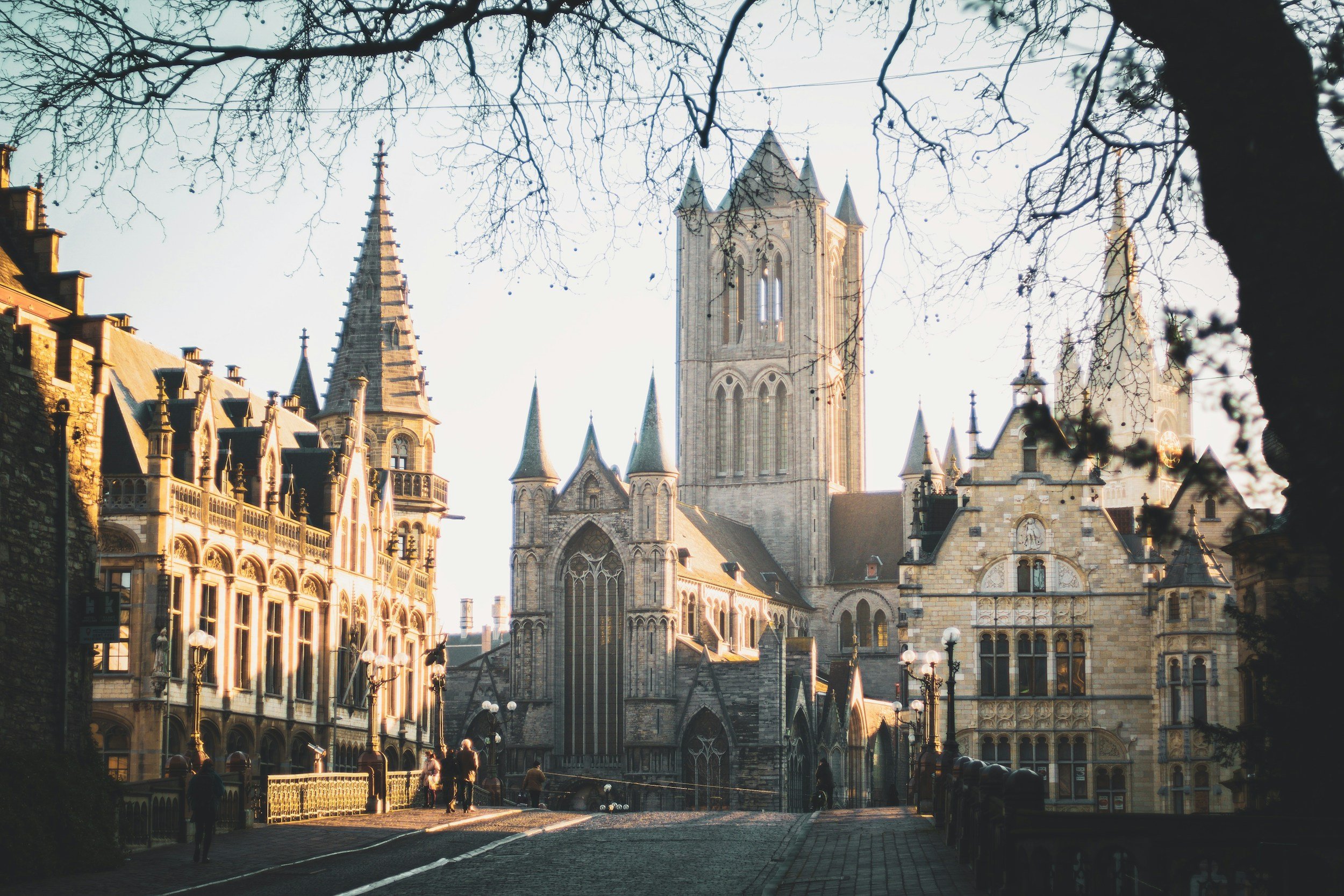 A historic Gothic-style cityscape featuring a large stone cathedral with tall spires, surrounded by ornate buildings and a cobblestone street, with leafless tree branches in the foreground during daylight.