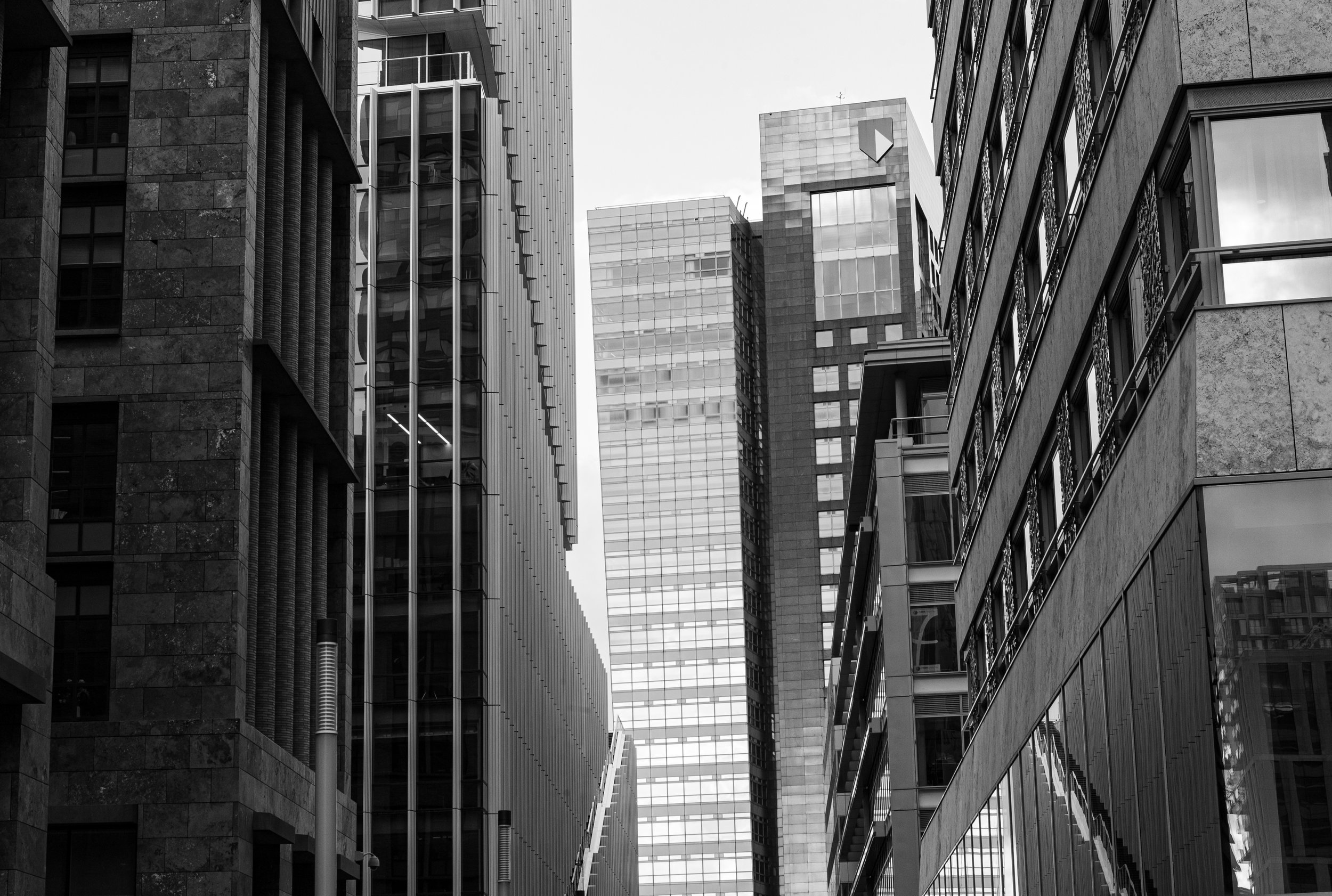L1021877.jpg