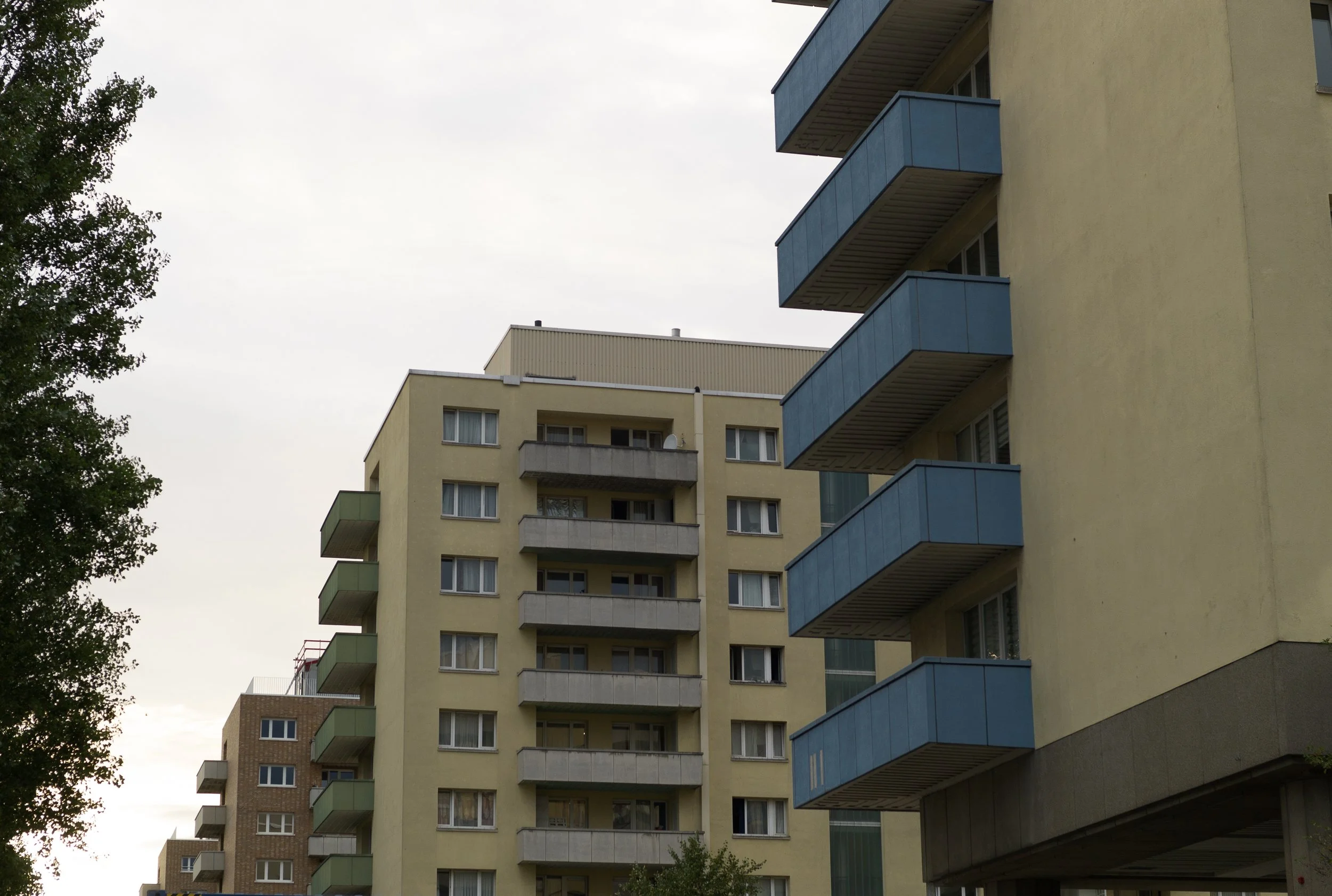 L1021511.jpg