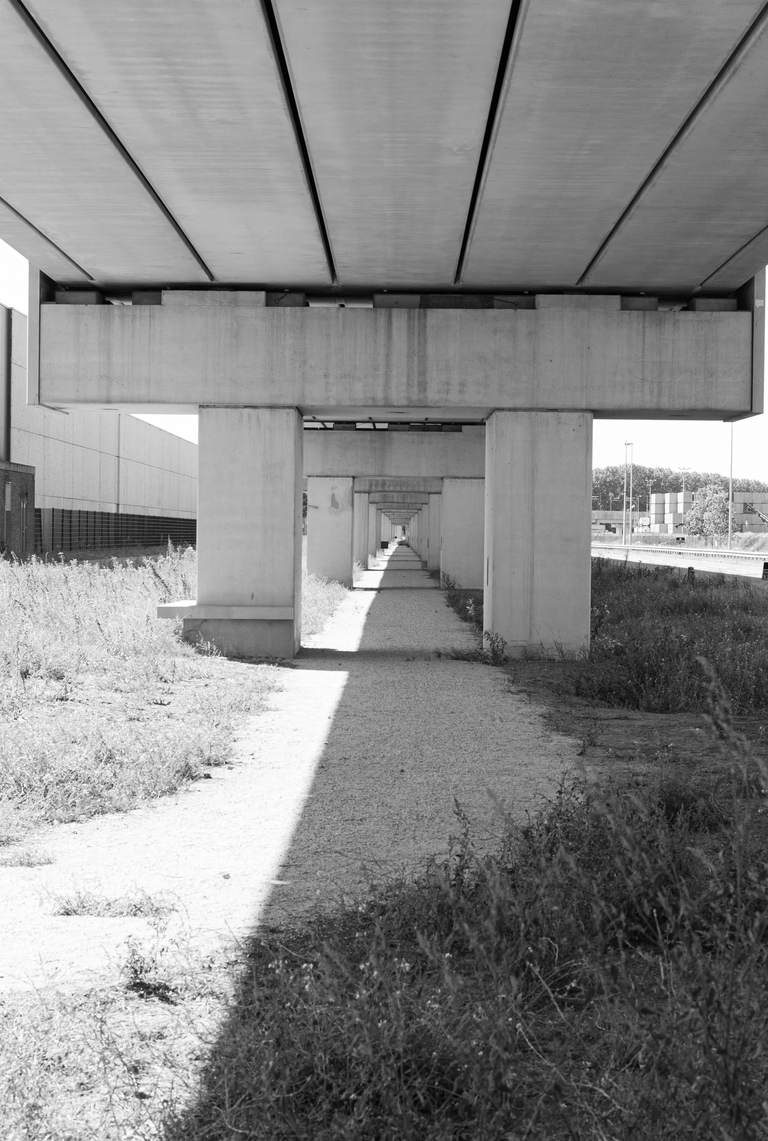 L1020867.jpg