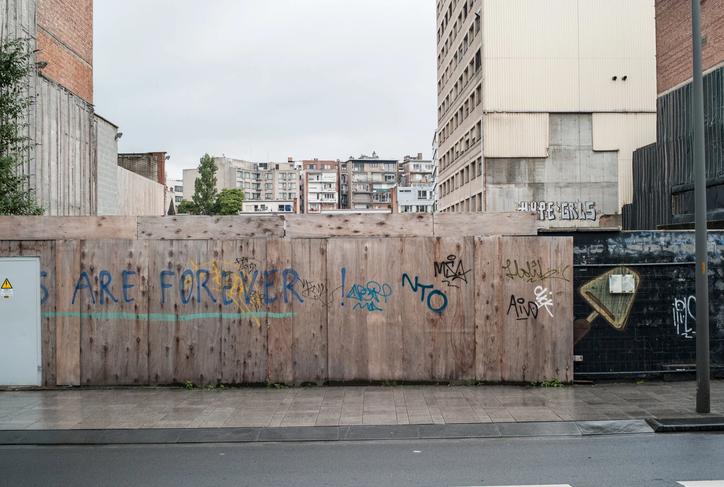 L1000409.jpg