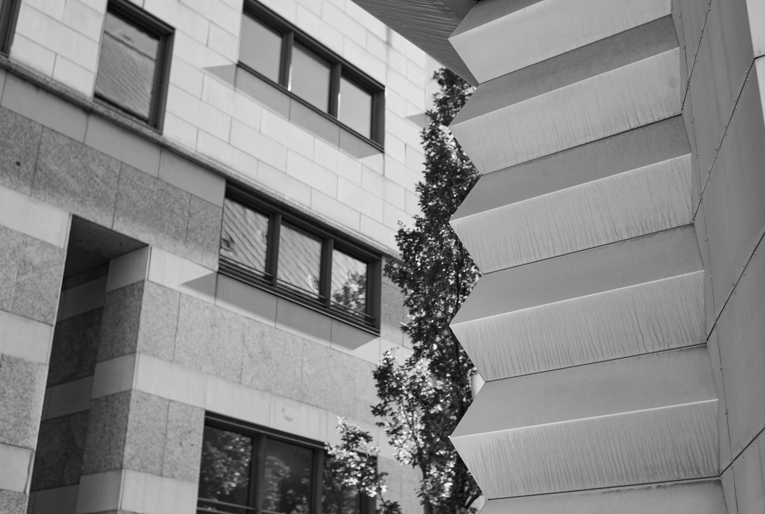 L1022993.jpg