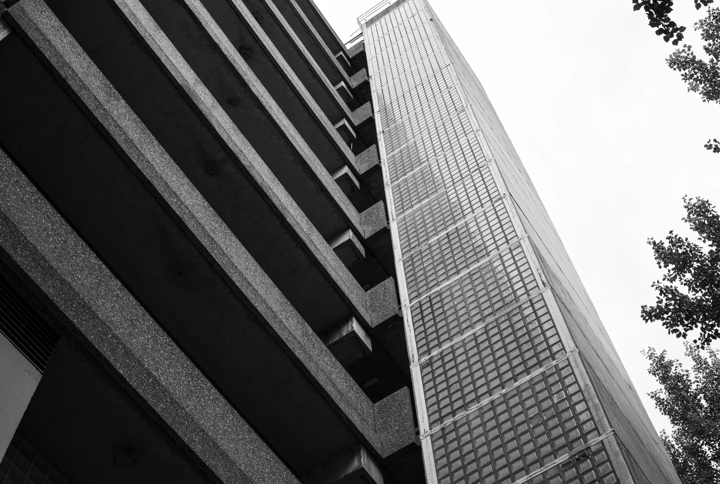 L1020710.jpg