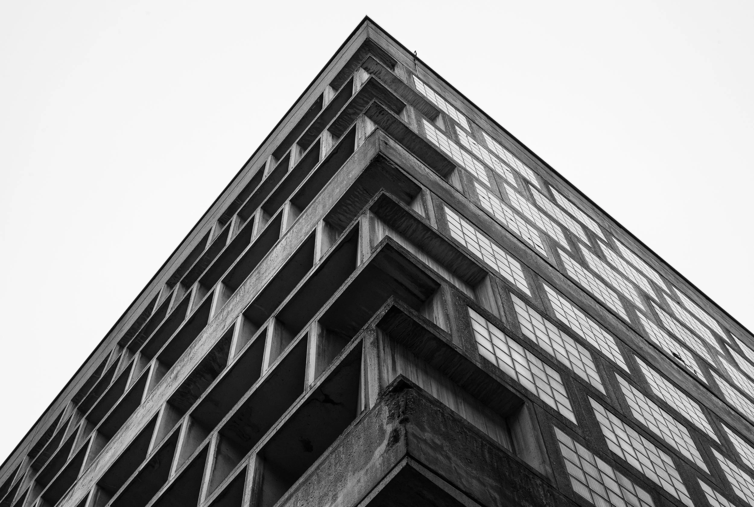 L1021037.jpg