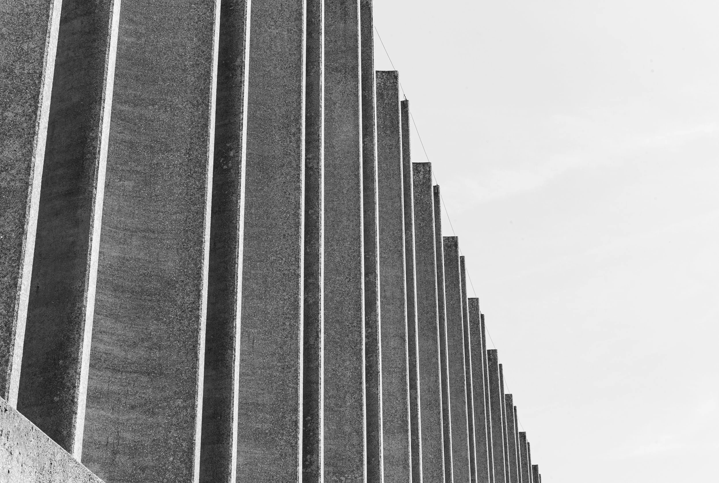 L1020860.jpg