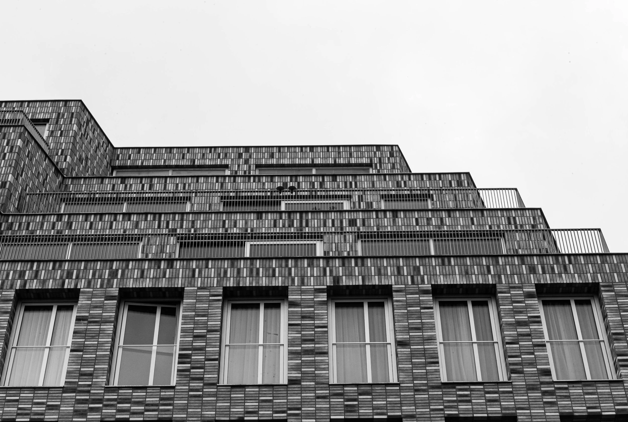 L1010495.jpg