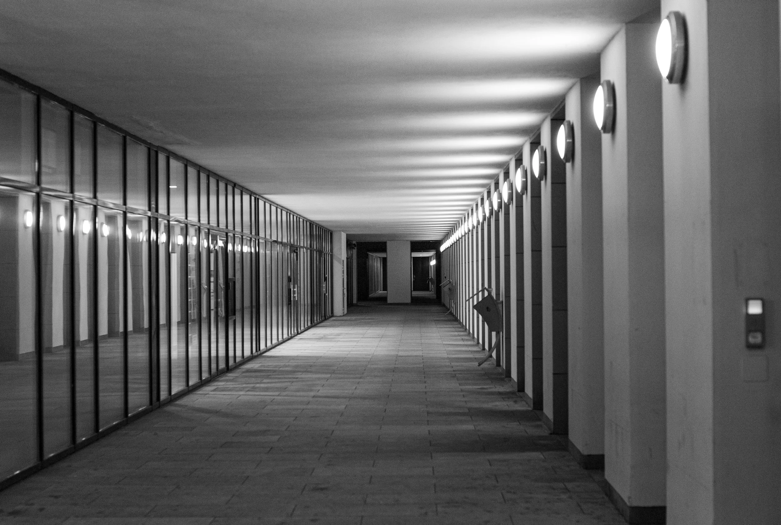 L1000166.jpg