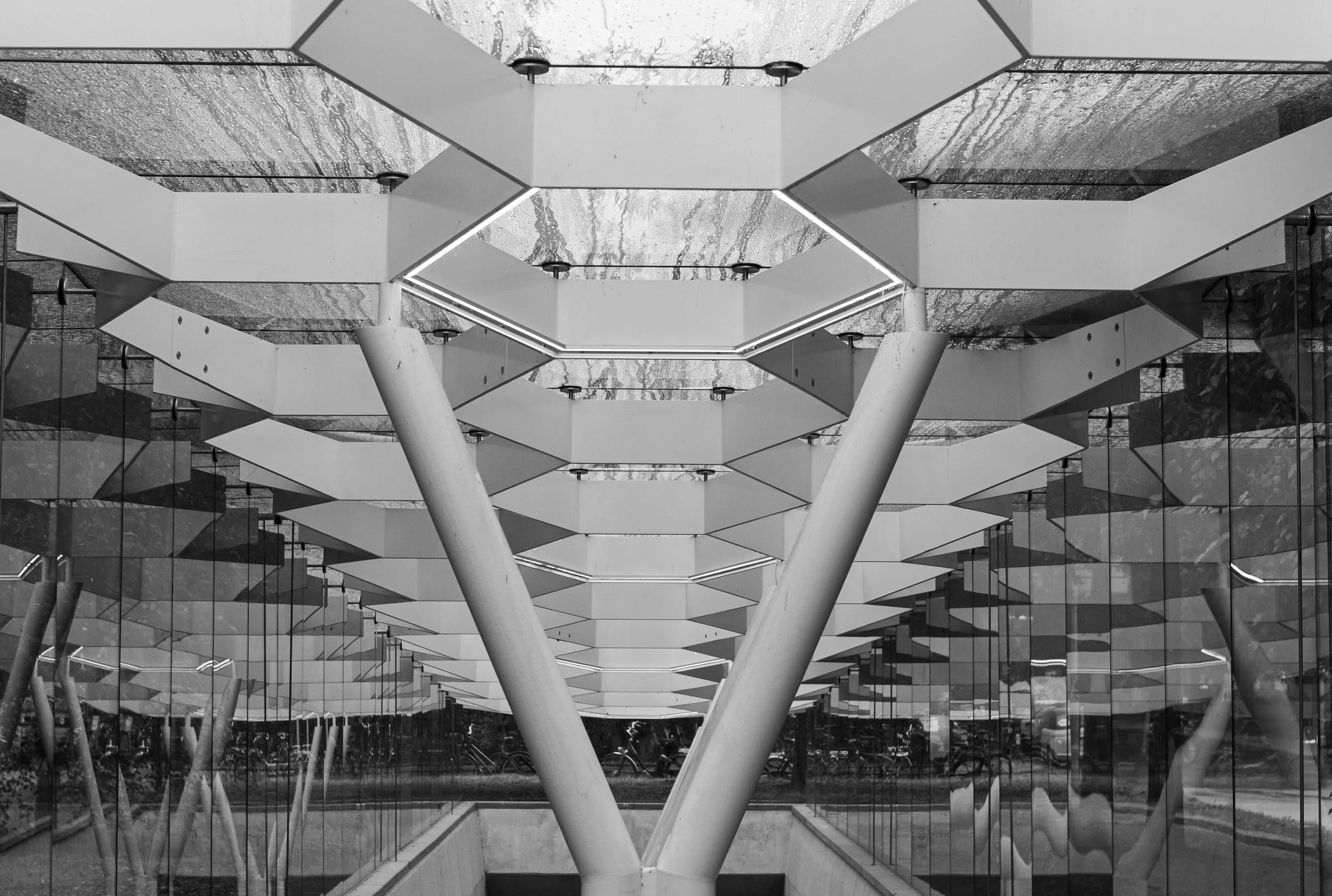 L1021774.jpg