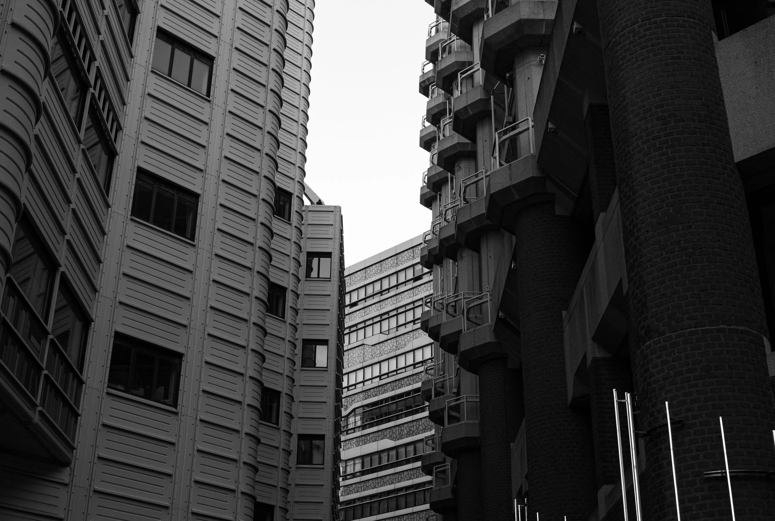 L1021316.jpg