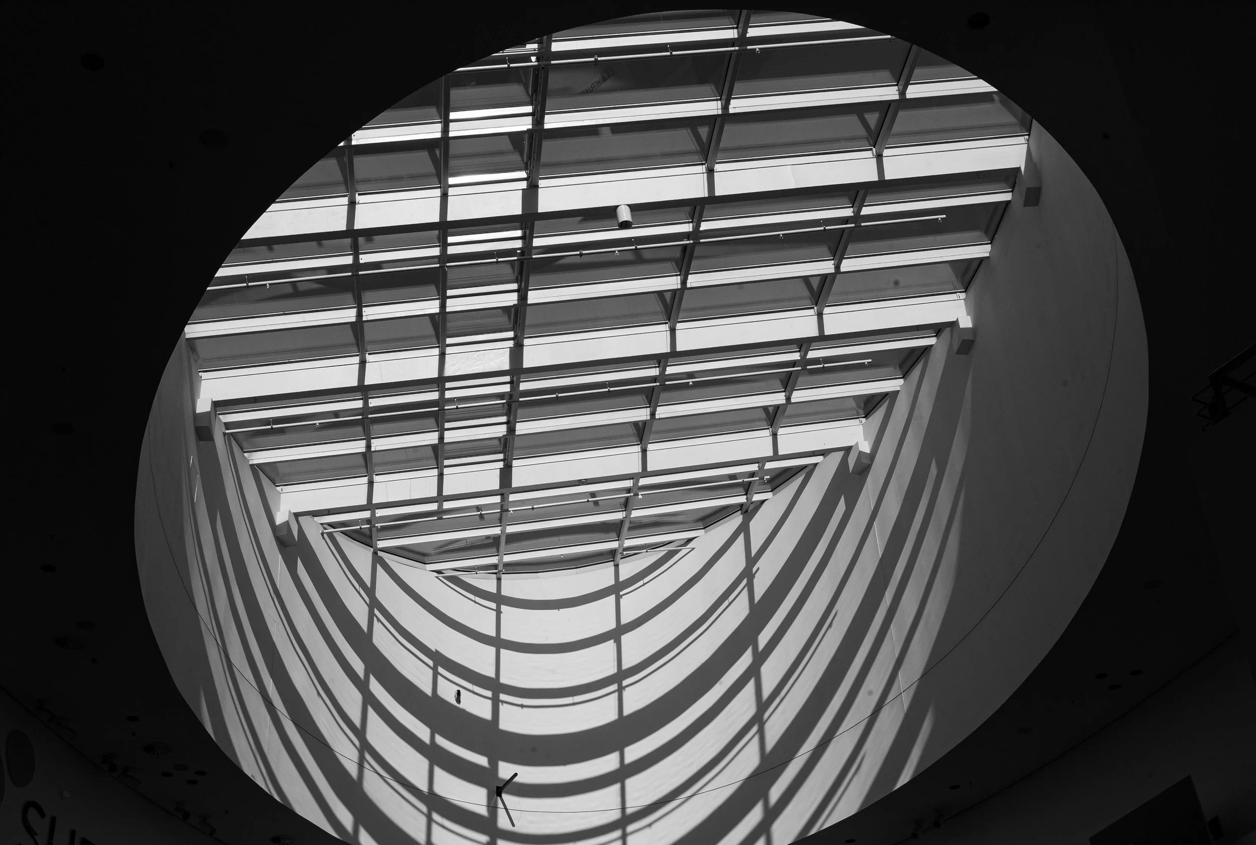 L1022965.jpg