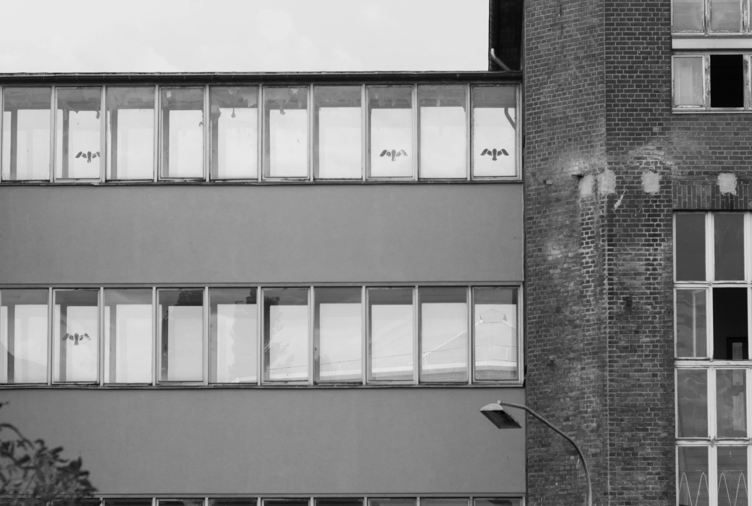 L1021097.jpg