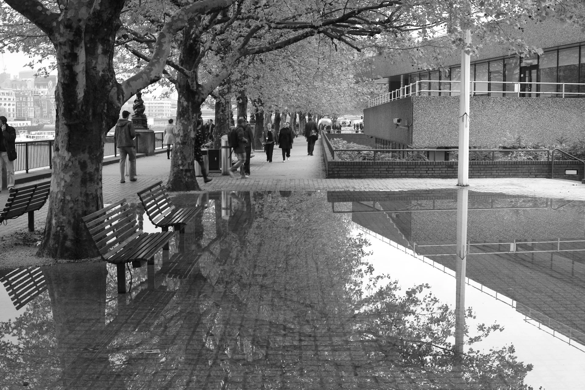 reflections_7138785373_o.jpg