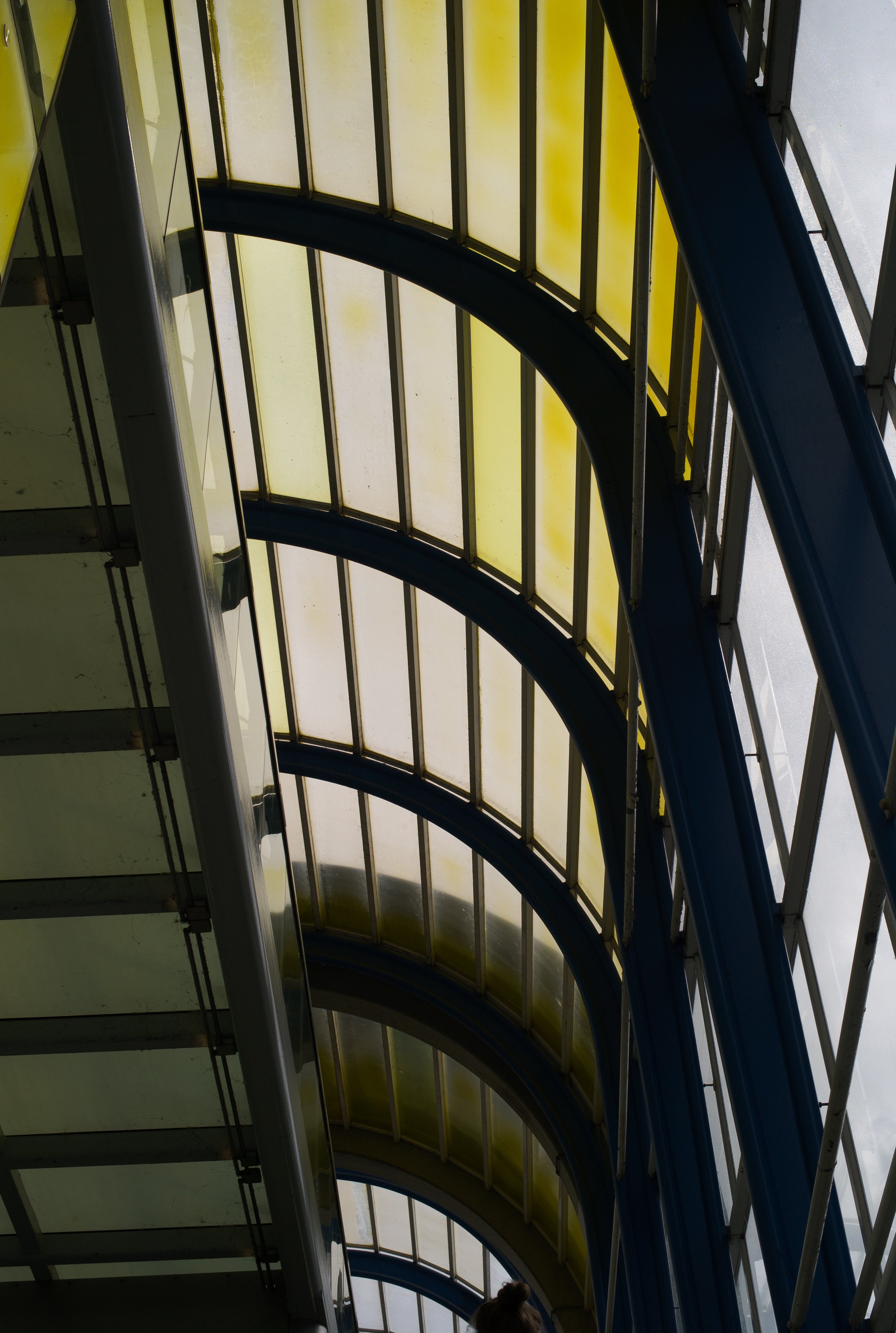 L1020592.jpg