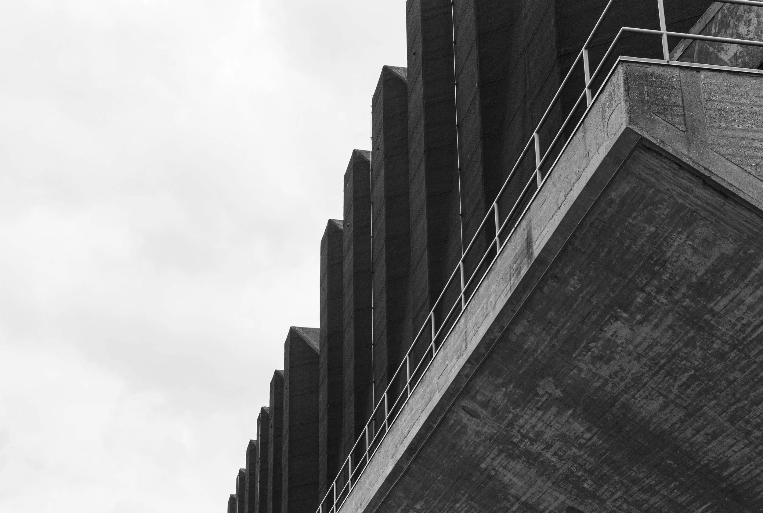 L1010523.jpg