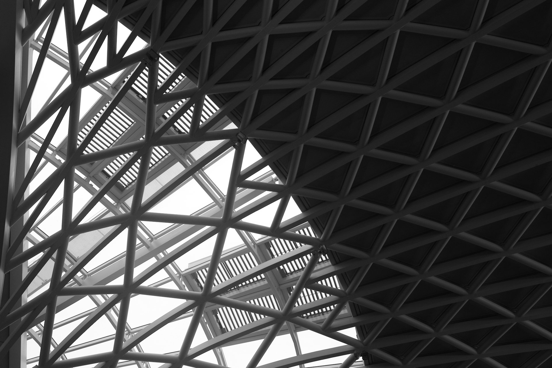 l1162593_6992776986_o.jpg