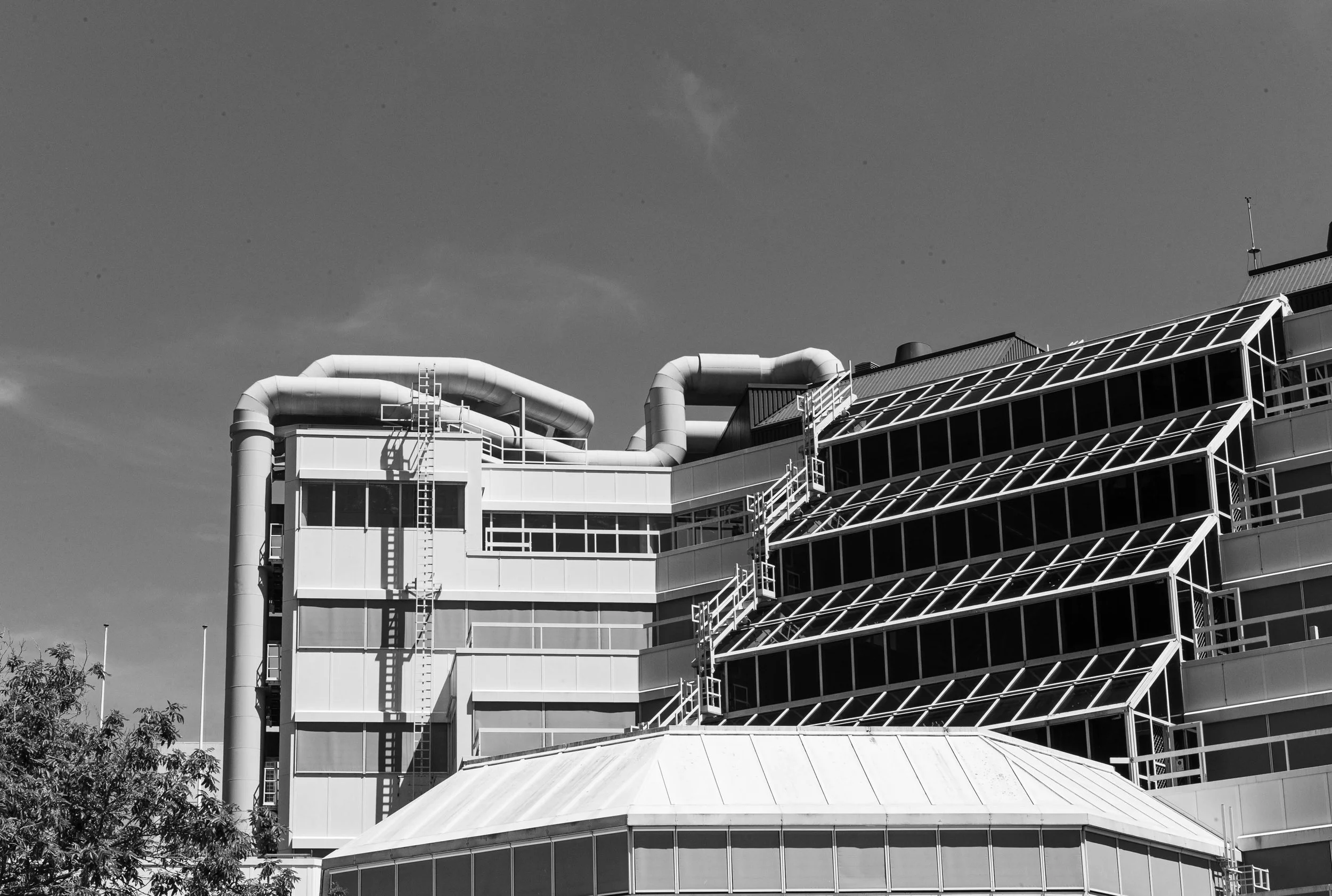 L1010291.jpg