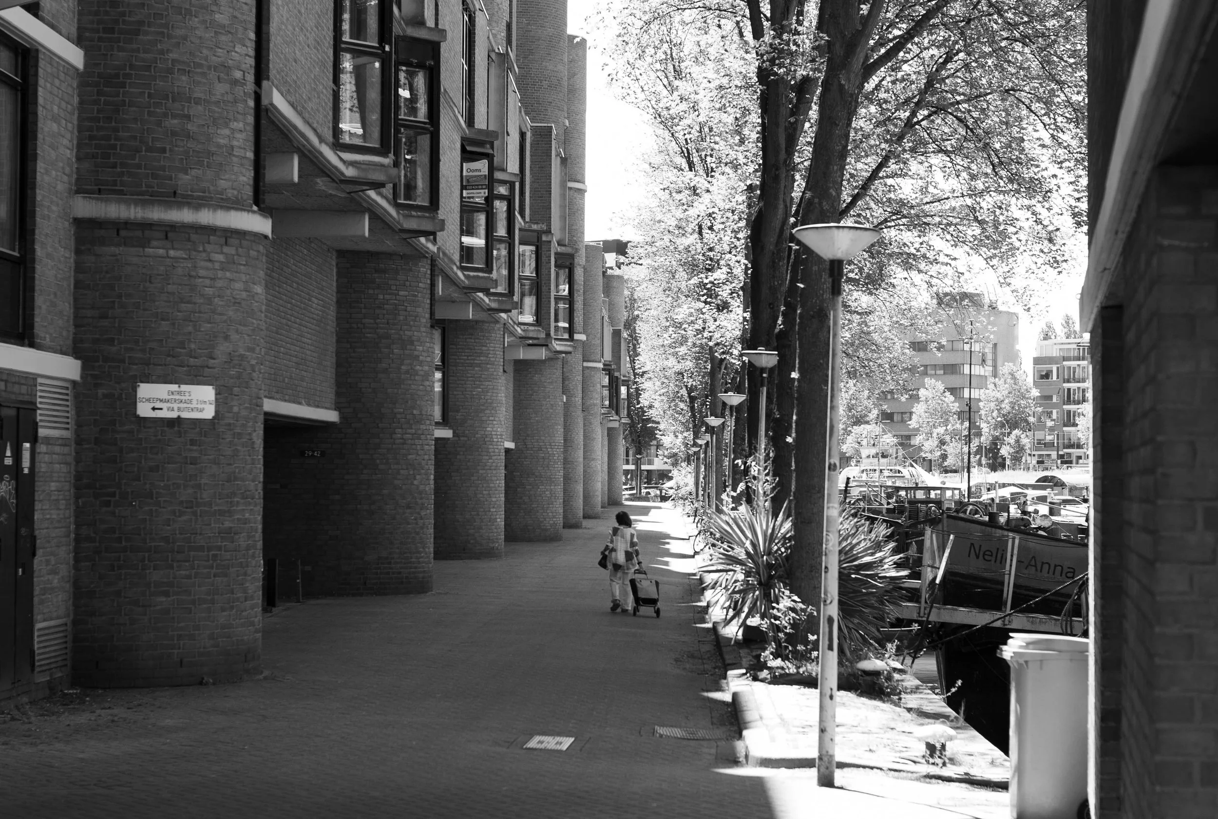 L1010316.jpg