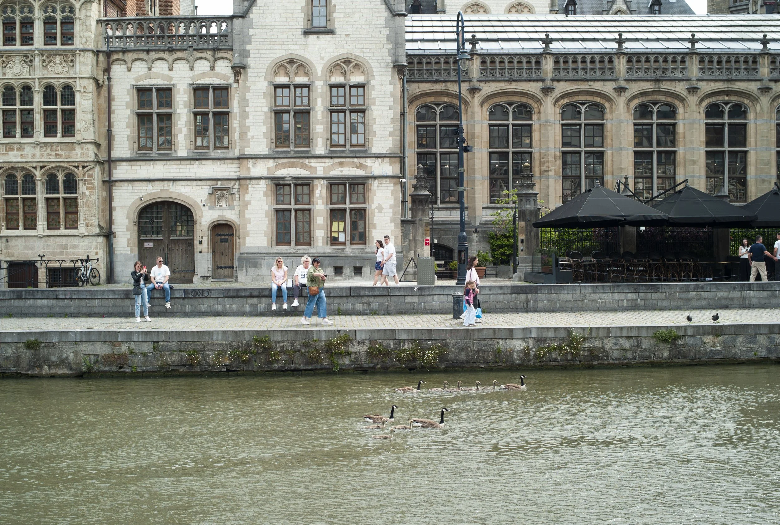 L1000439.JPG