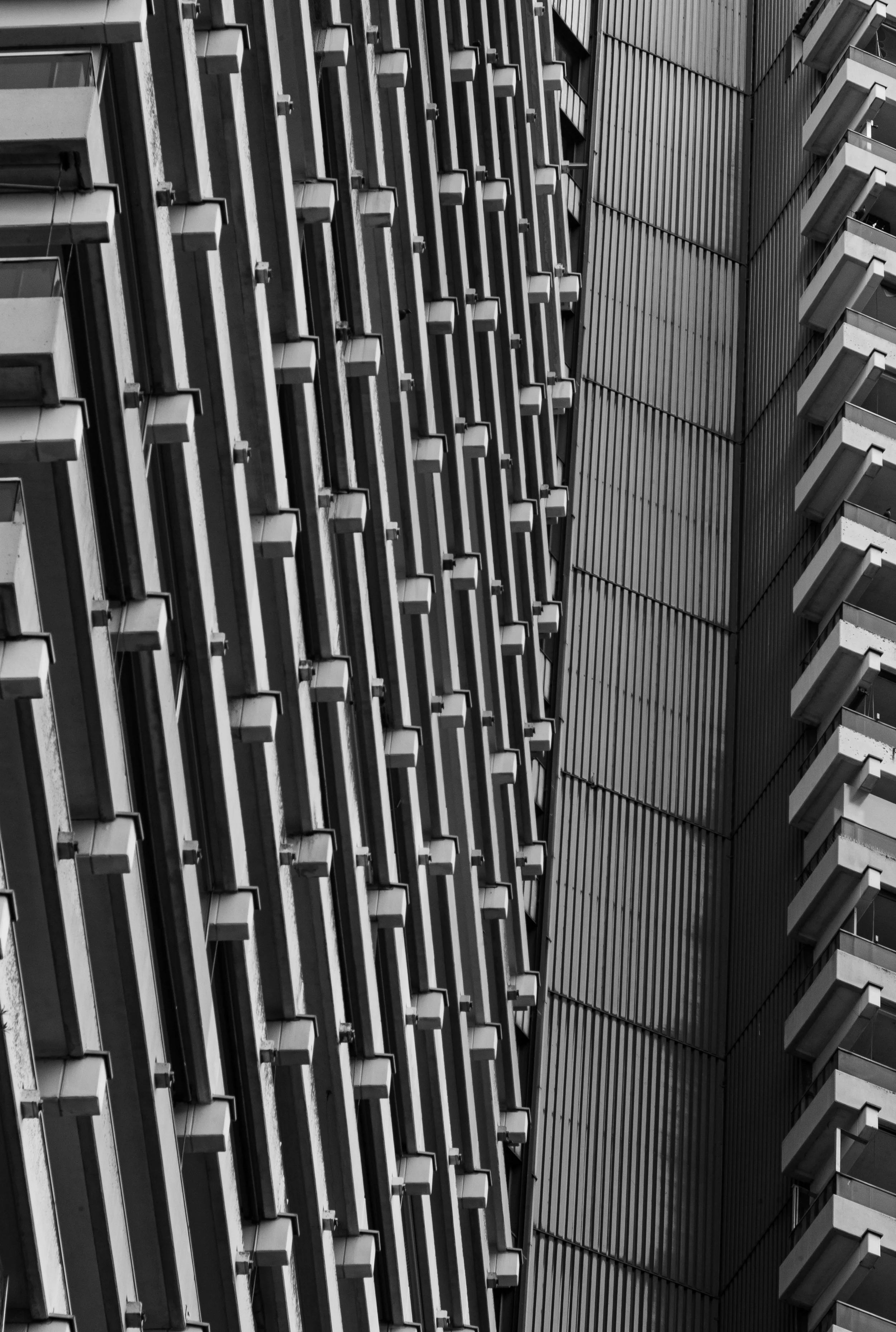 L1020997.jpg
