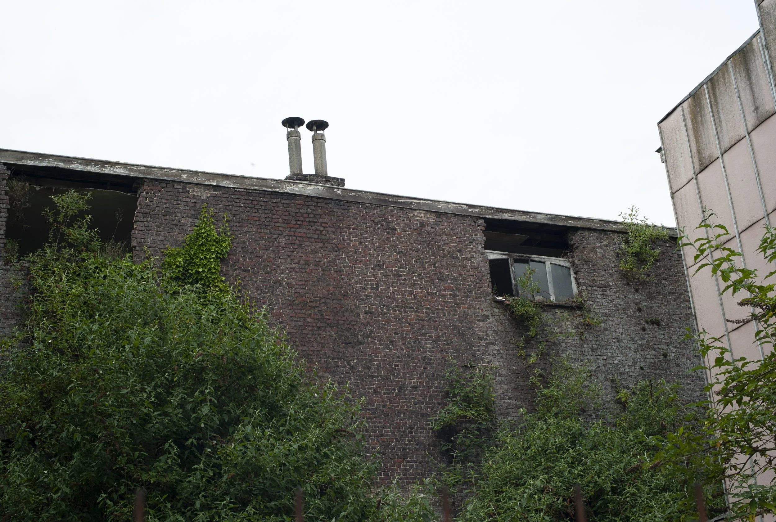 L1000470.JPG