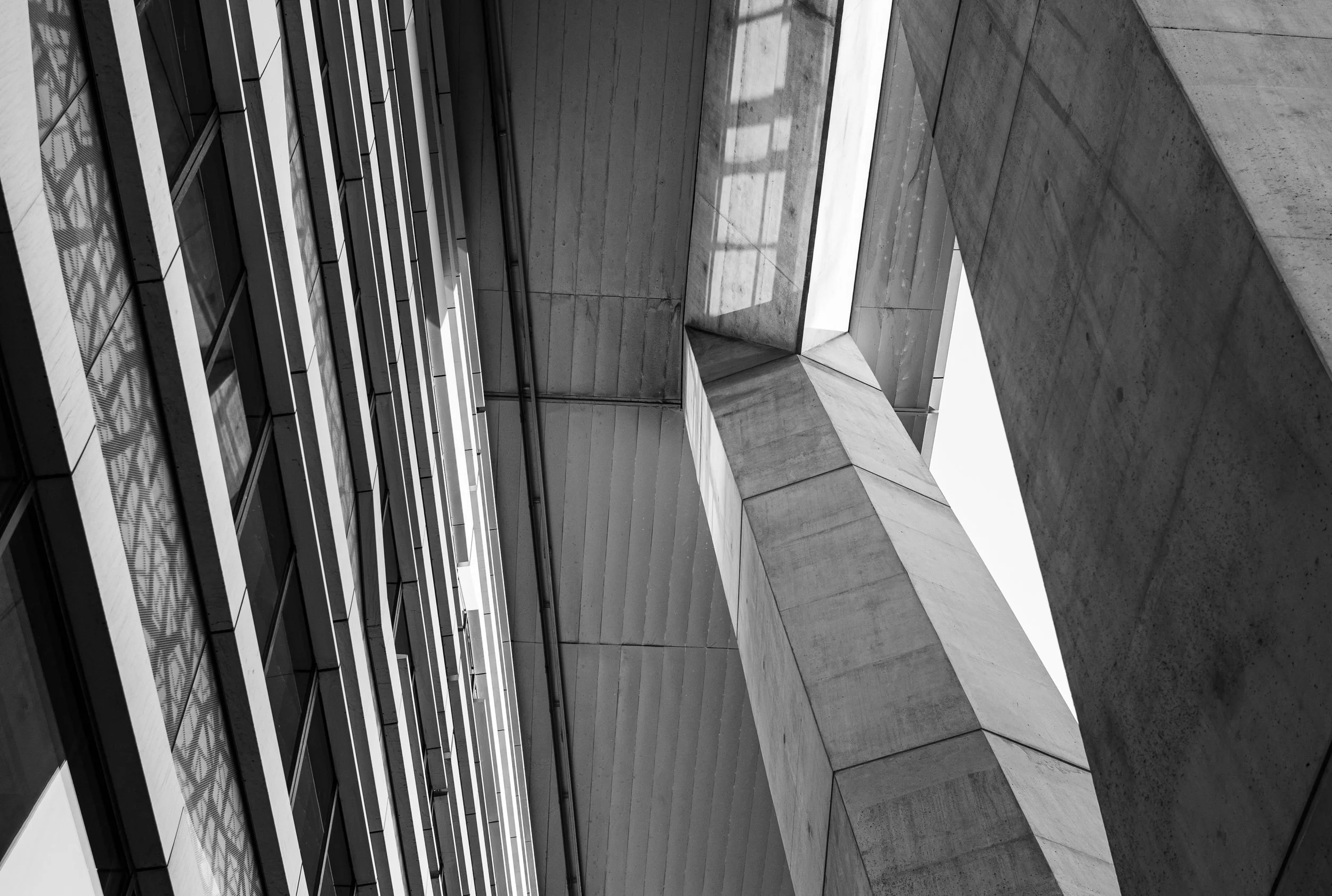 L1021336.jpg