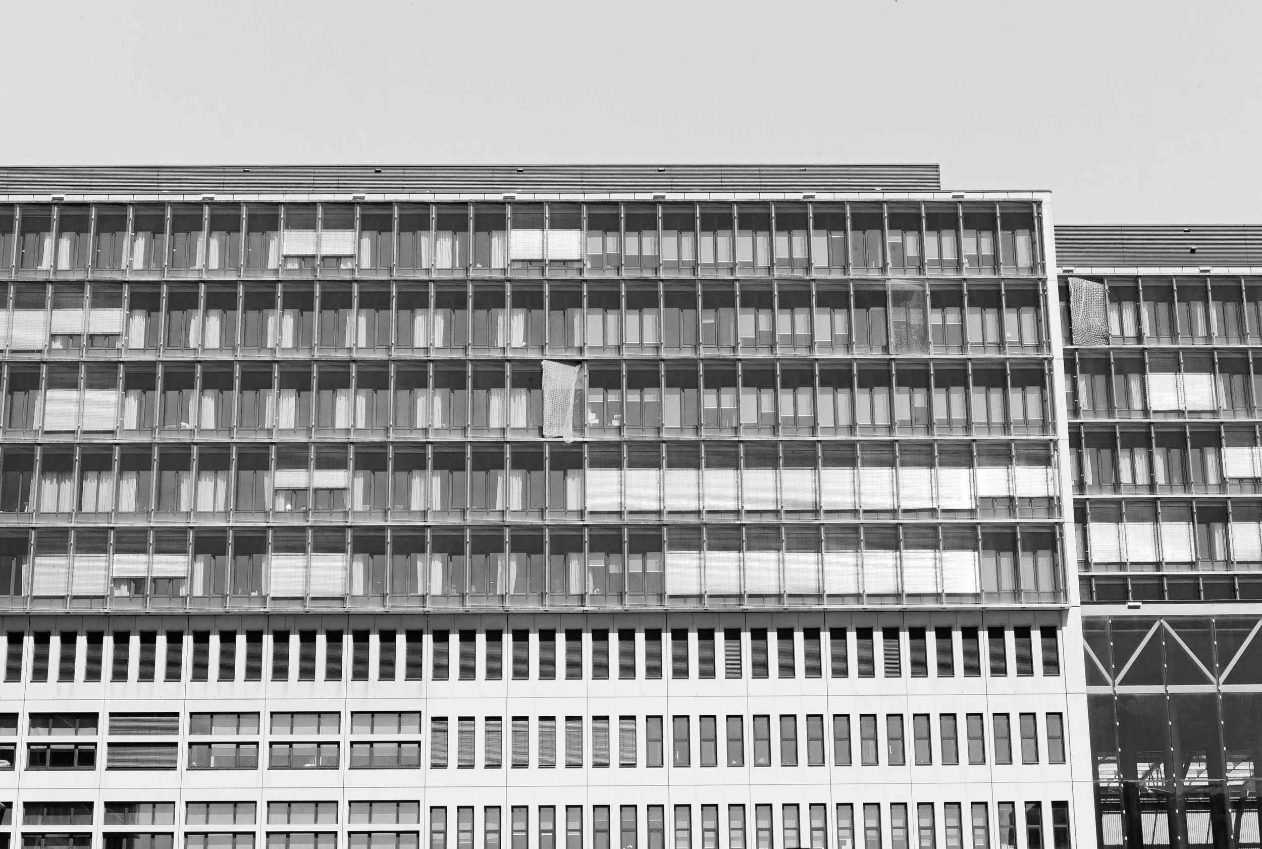 L1010336.jpg