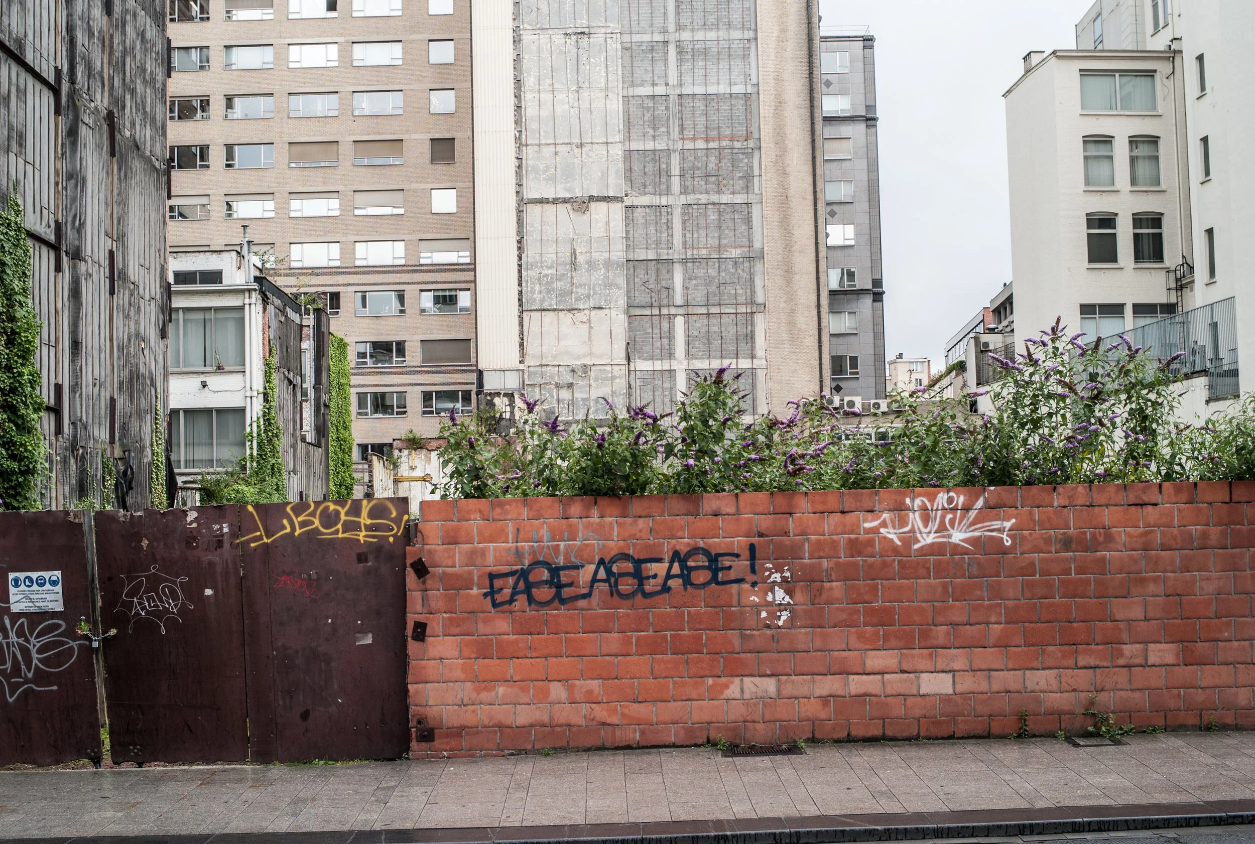 L1000412.jpg