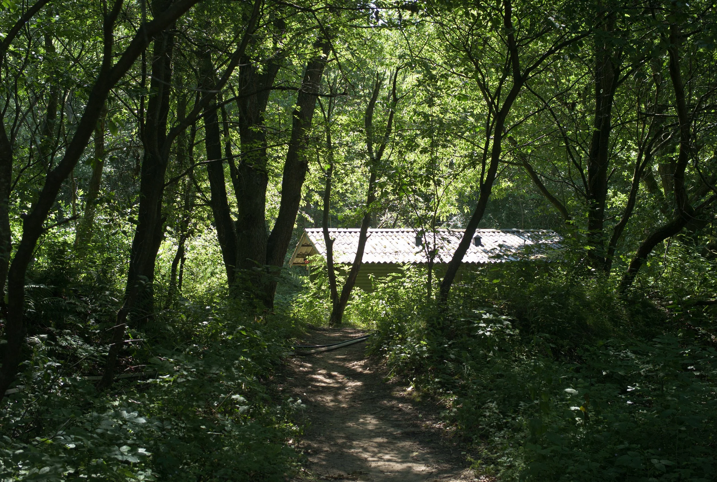 L1020128.jpg