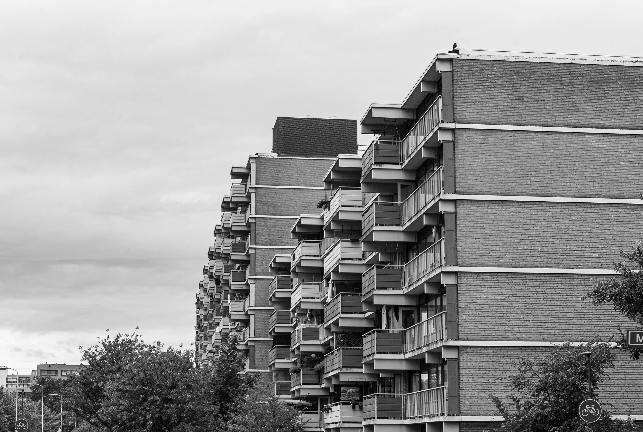 L1020578.jpg